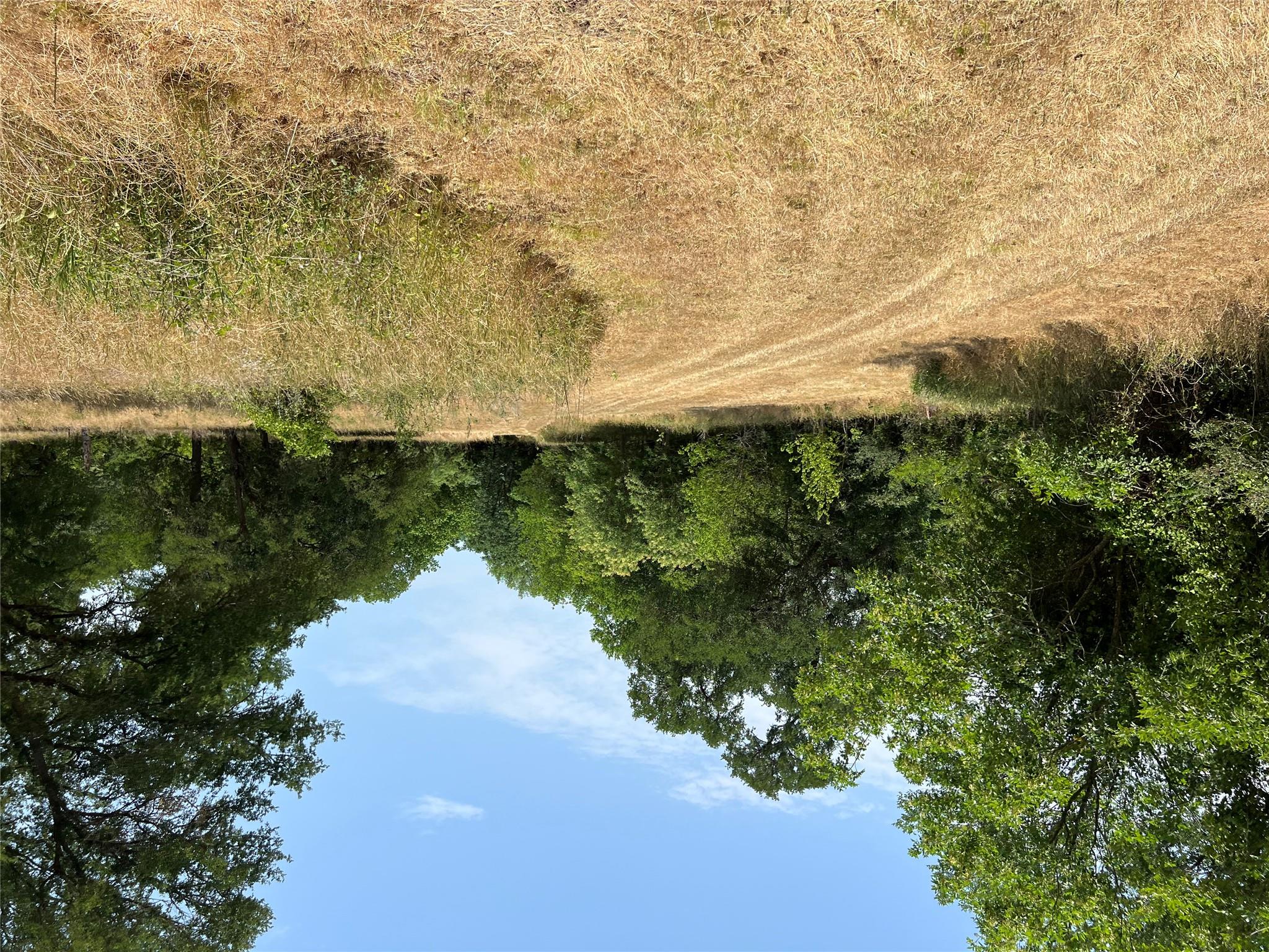 124 Valley Creek Dr, Cedar Creek, TX 78612