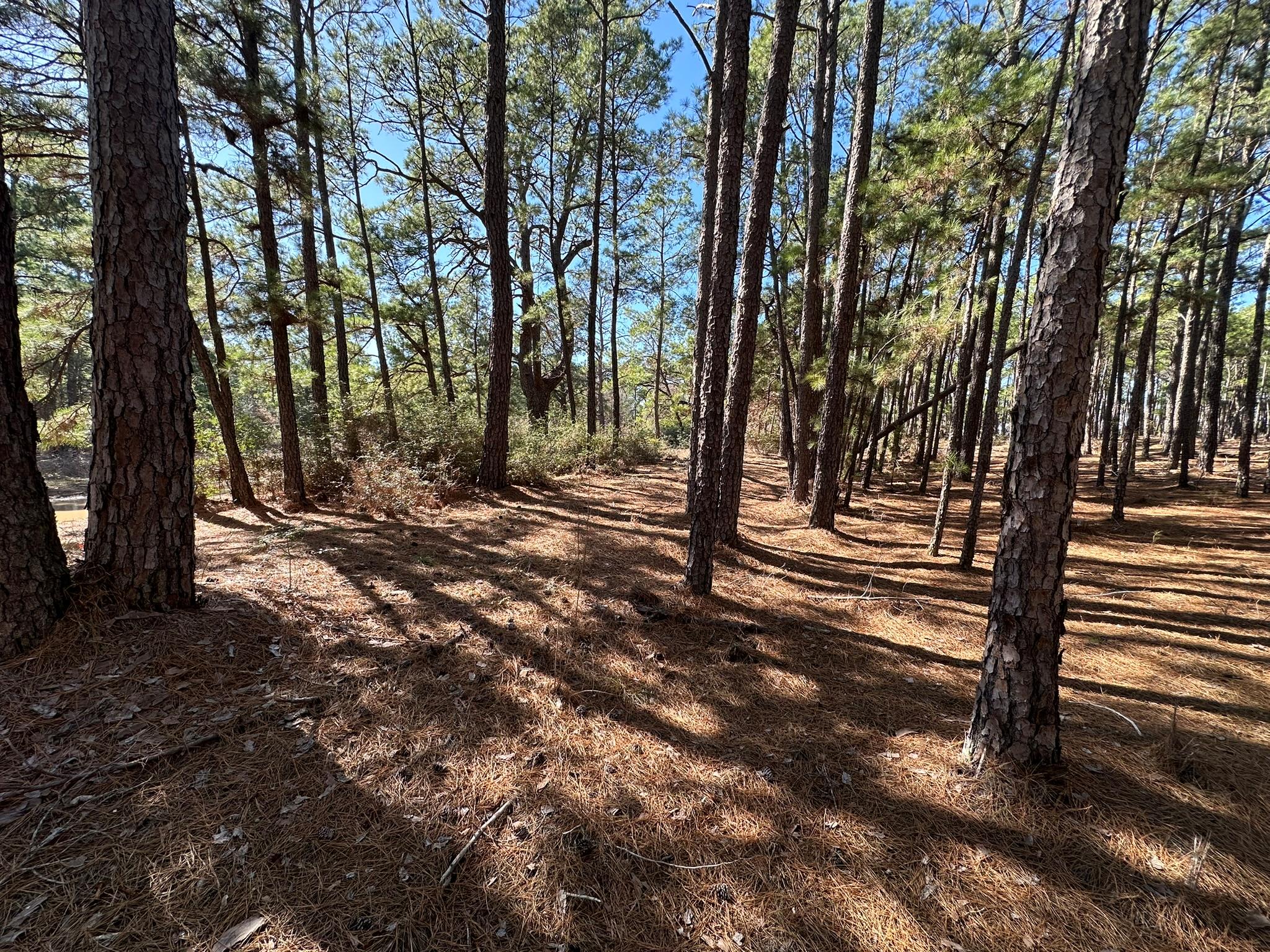 Lot 12 Hickory Ridge Dr, Bastrop, TX 78602