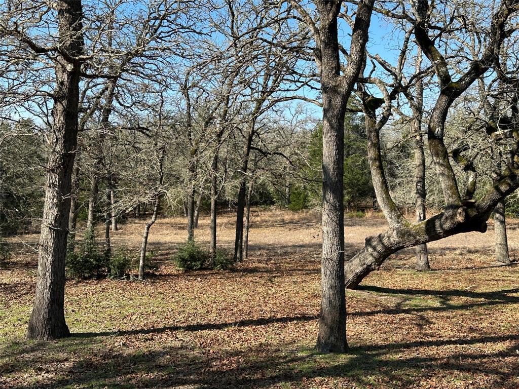 1047 Private Road 3022, Elgin, TX 78621