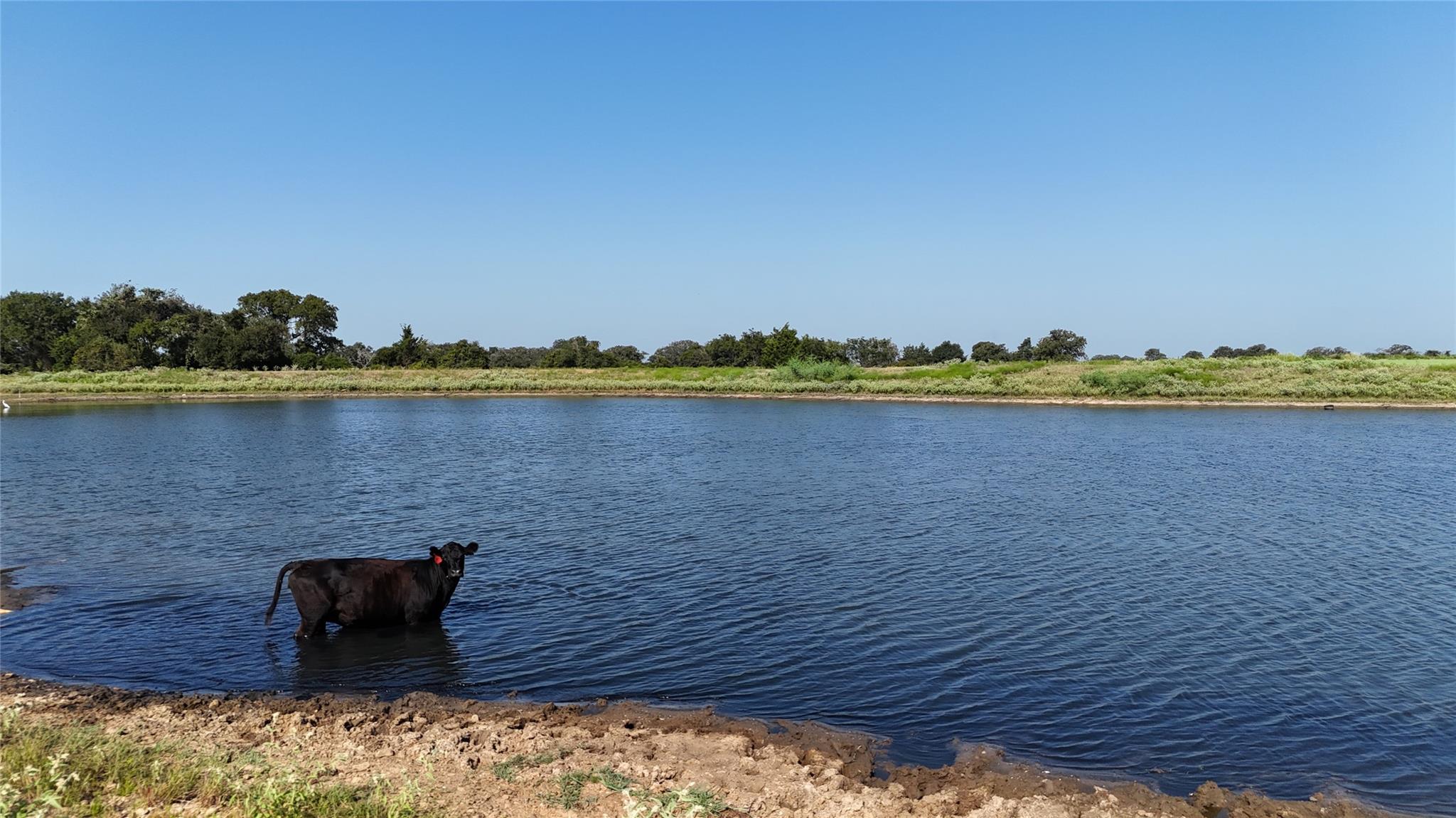 2039 County Road 326, Giddings, TX 78942