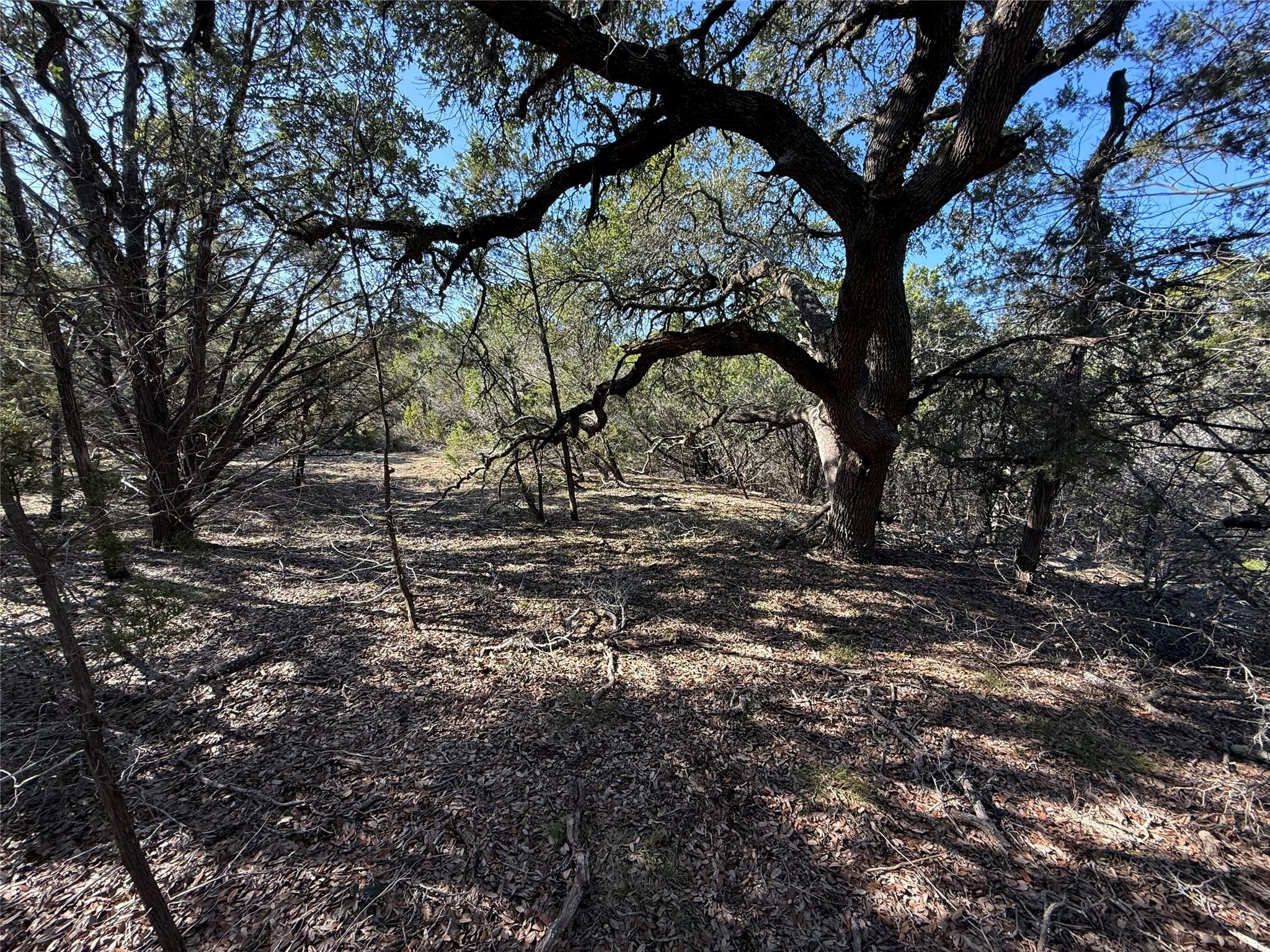 221 Ranch House Rd, Wimberley, TX 78676