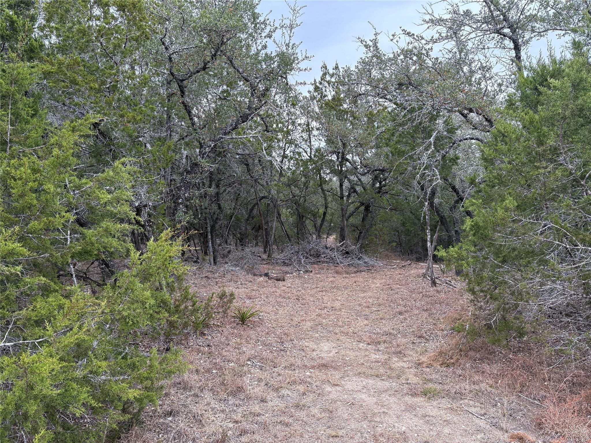 Lot 20E Overland Stage Rd, Dripping Springs, TX 78620