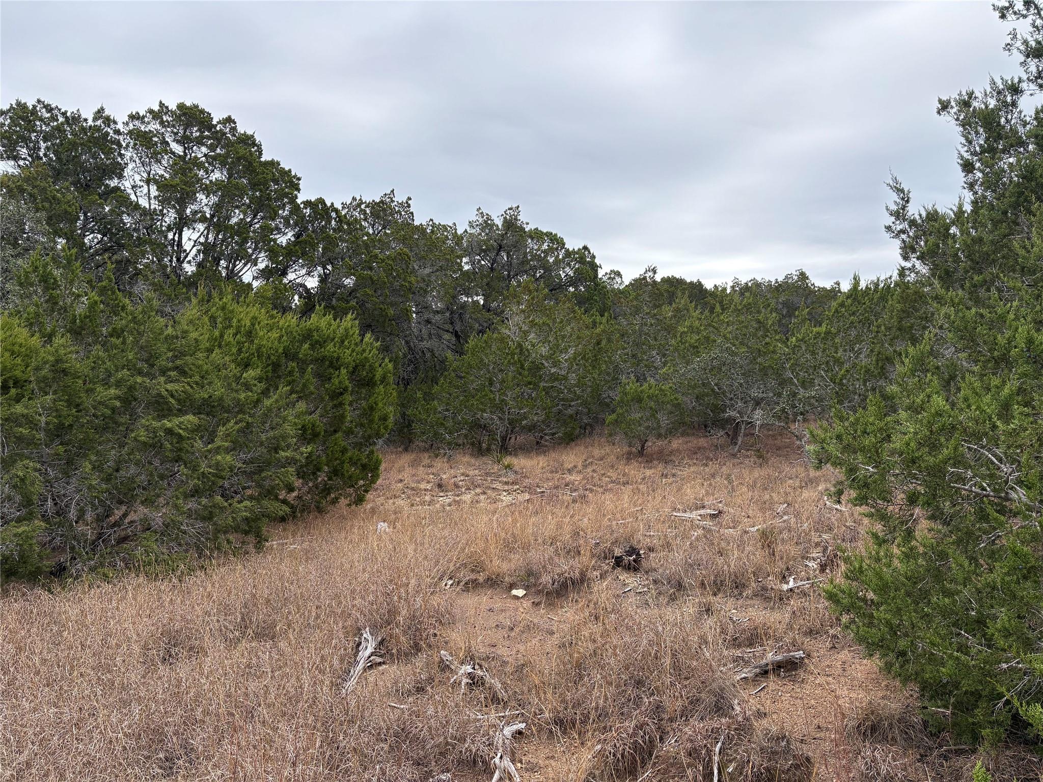 Lot 20E Overland Stage Rd, Dripping Springs, TX 78620