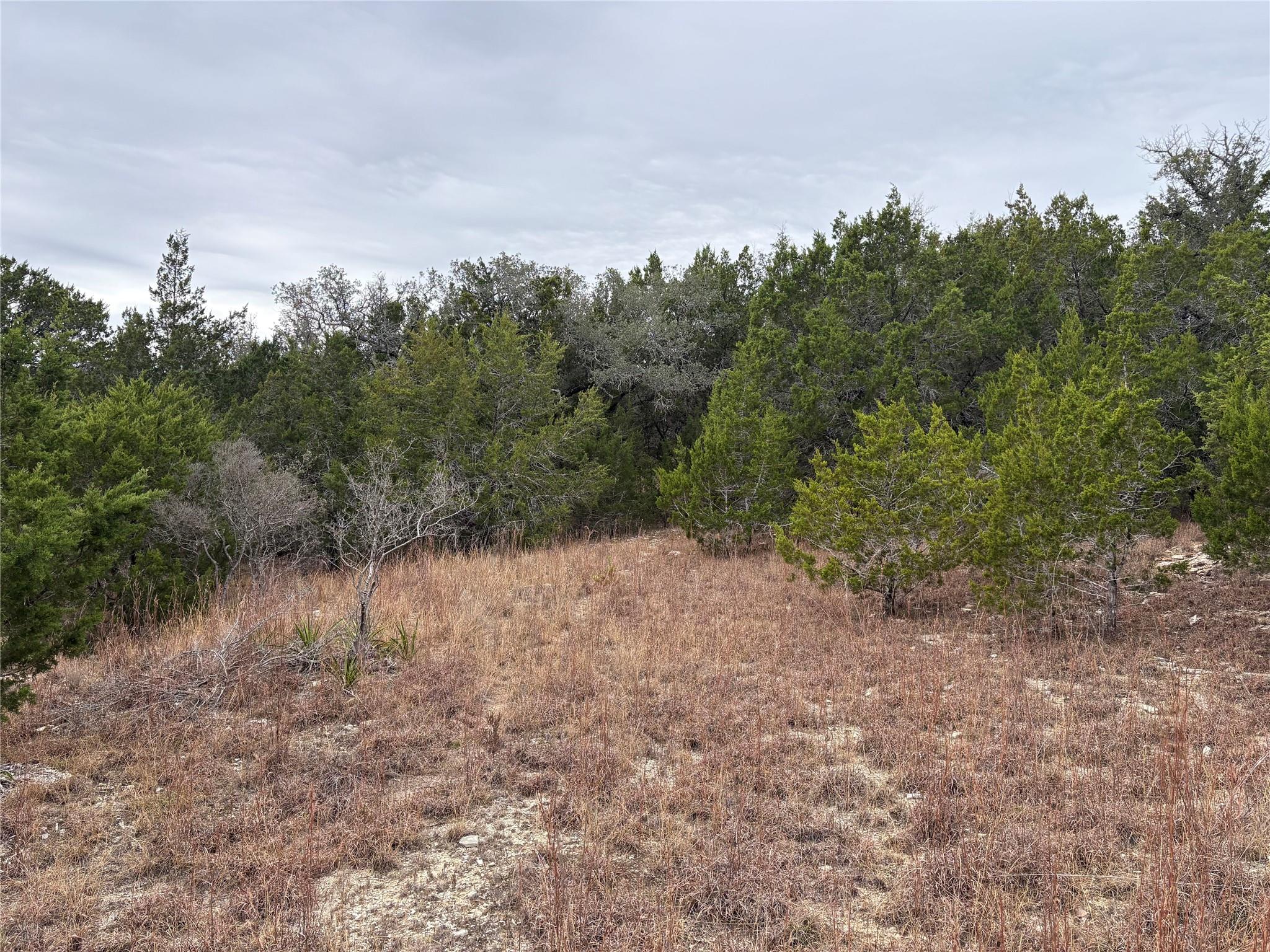 Lot 20E Overland Stage Rd, Dripping Springs, TX 78620