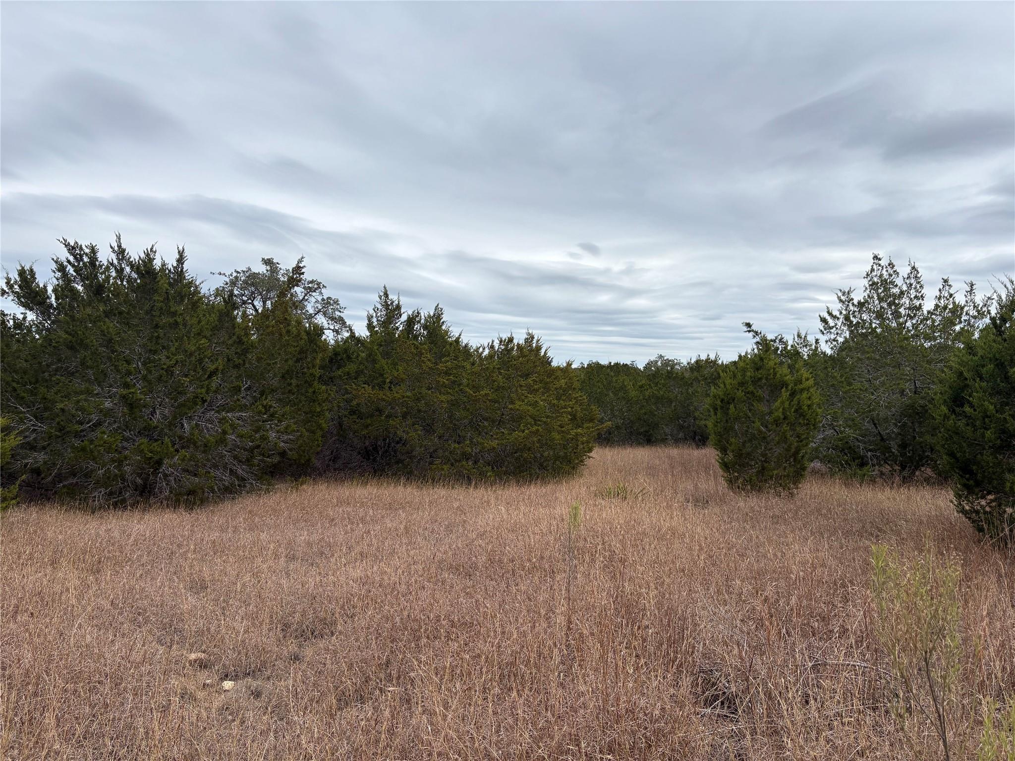 Lot 20E Overland Stage Rd, Dripping Springs, TX 78620