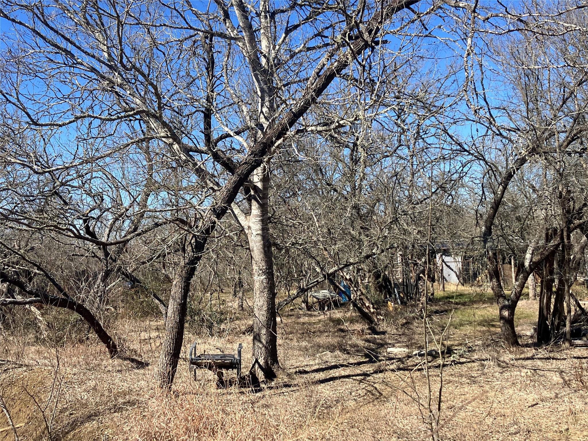 Cedar Creek, TX 78612