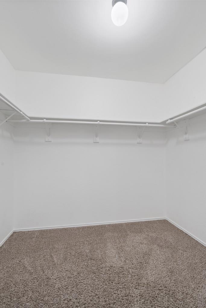 911 Flatters Way, Pflugerville, TX 78660