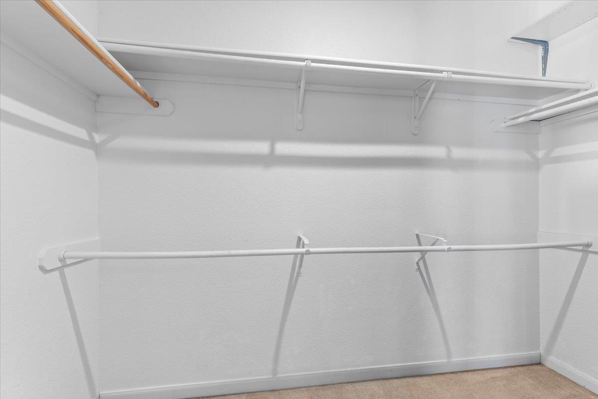 3523 Cheyenne St, Round Rock, TX 78665