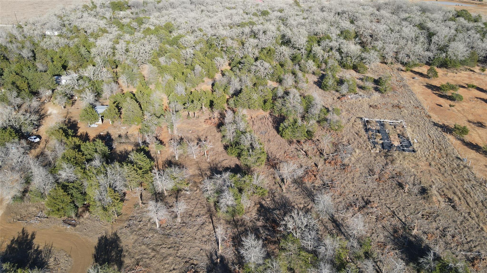 301 Longhorn Trl, Paige, TX 78659