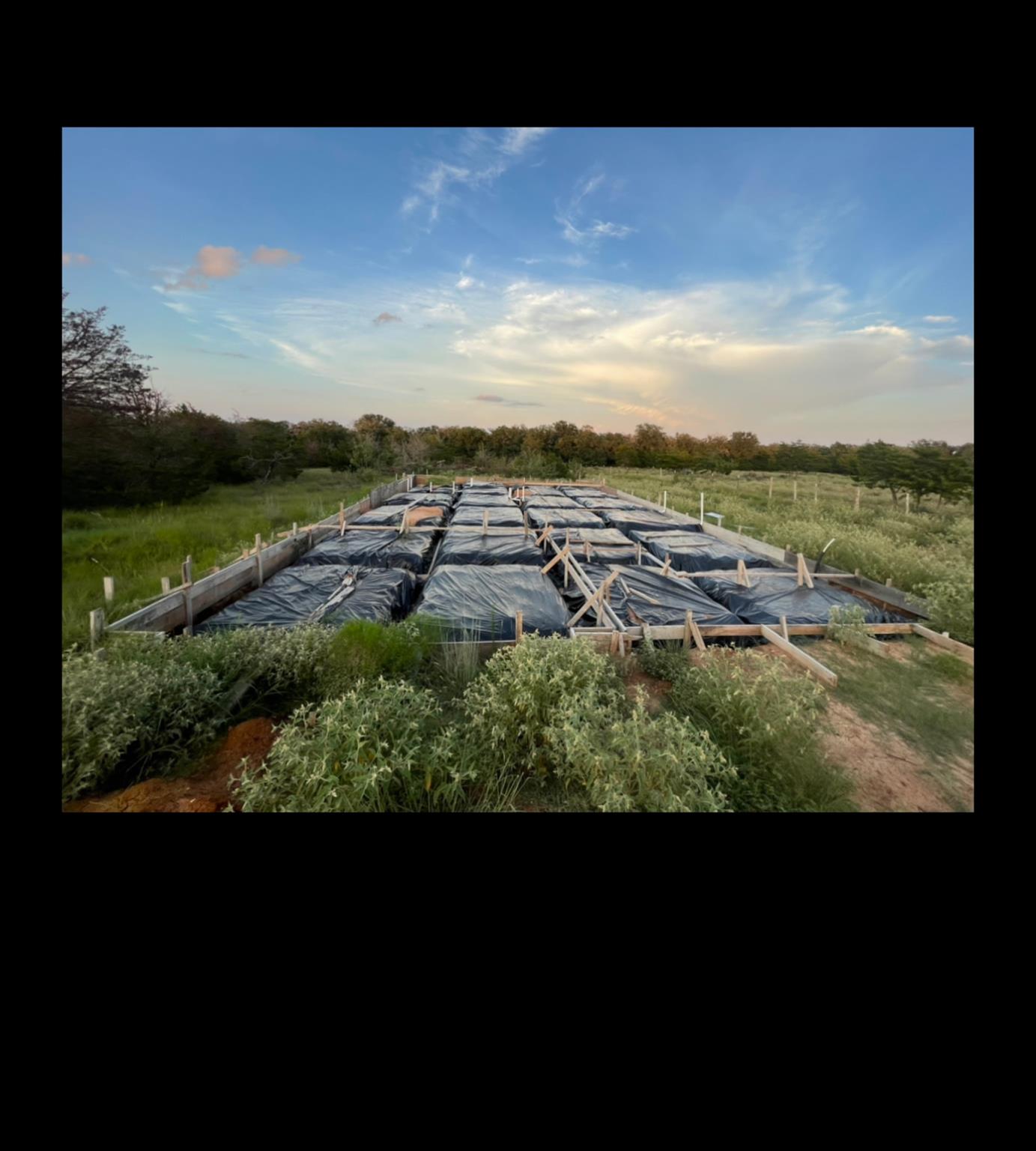 301 Longhorn Trl, Paige, TX 78659