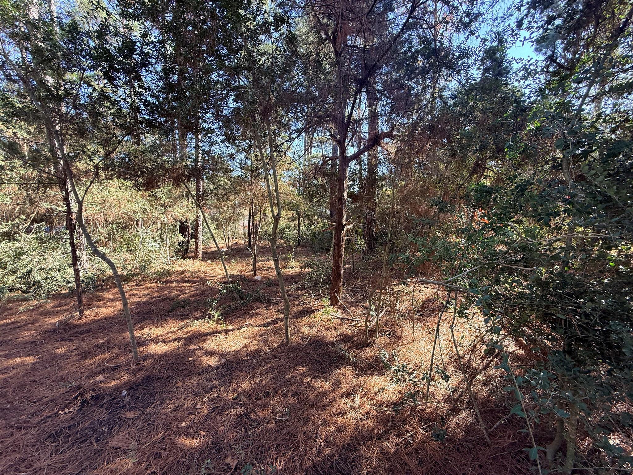 Lot 59 S. Hill Ridge Rd, Bastrop, TX 78602