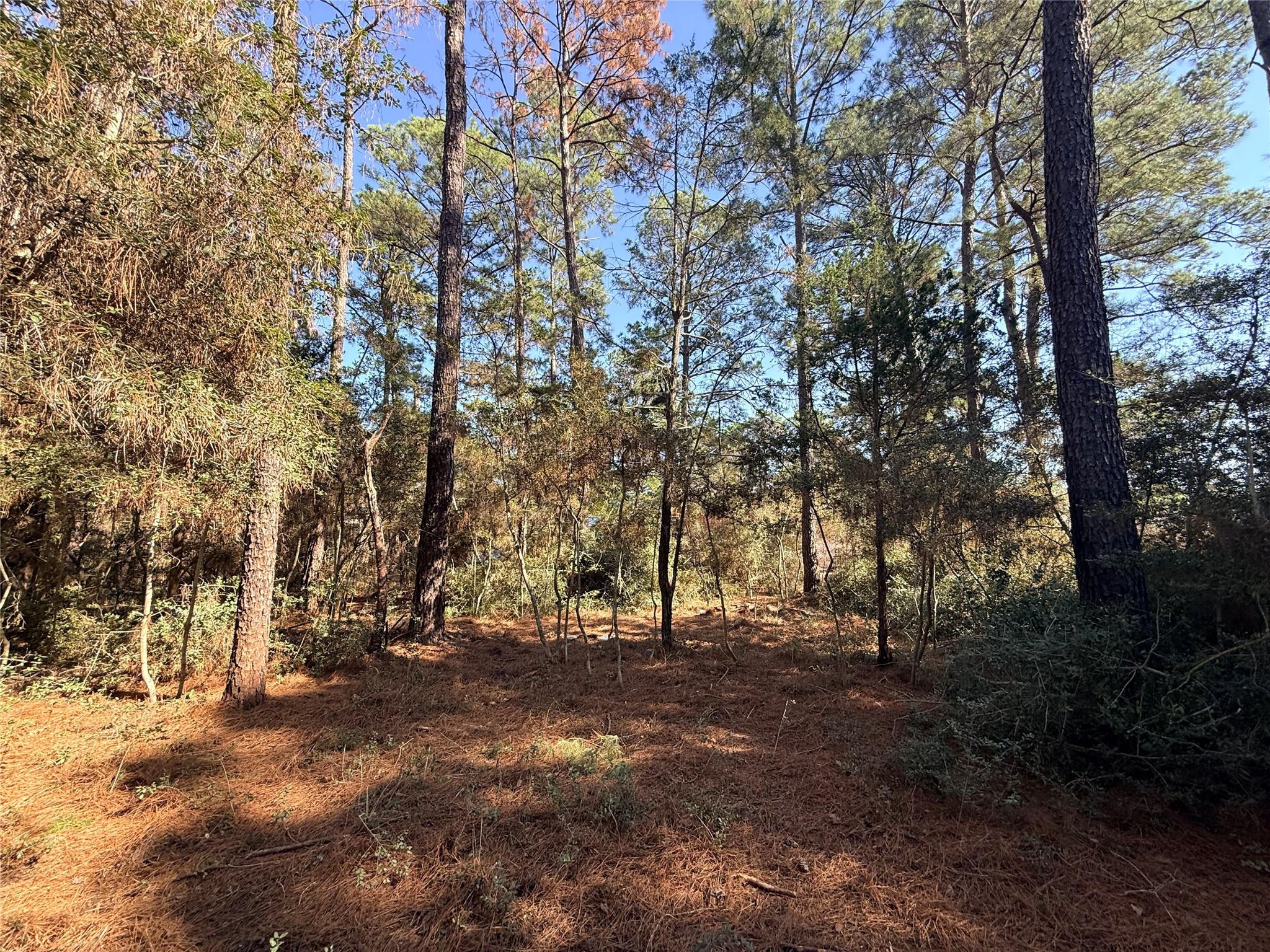 Lot 59 S. Hill Ridge Rd, Bastrop, TX 78602
