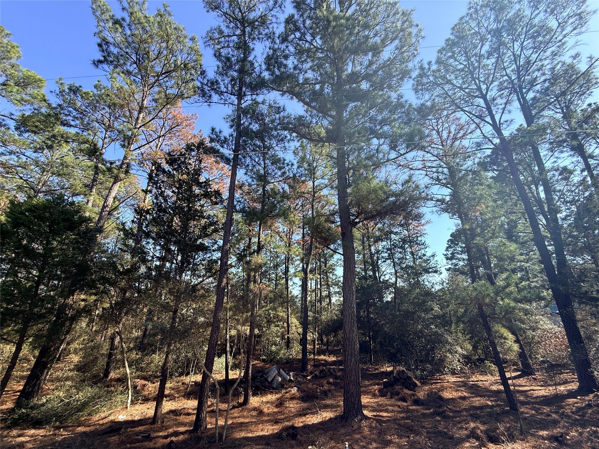 Lot 59 S. Hill Ridge Rd, Bastrop, TX 78602
