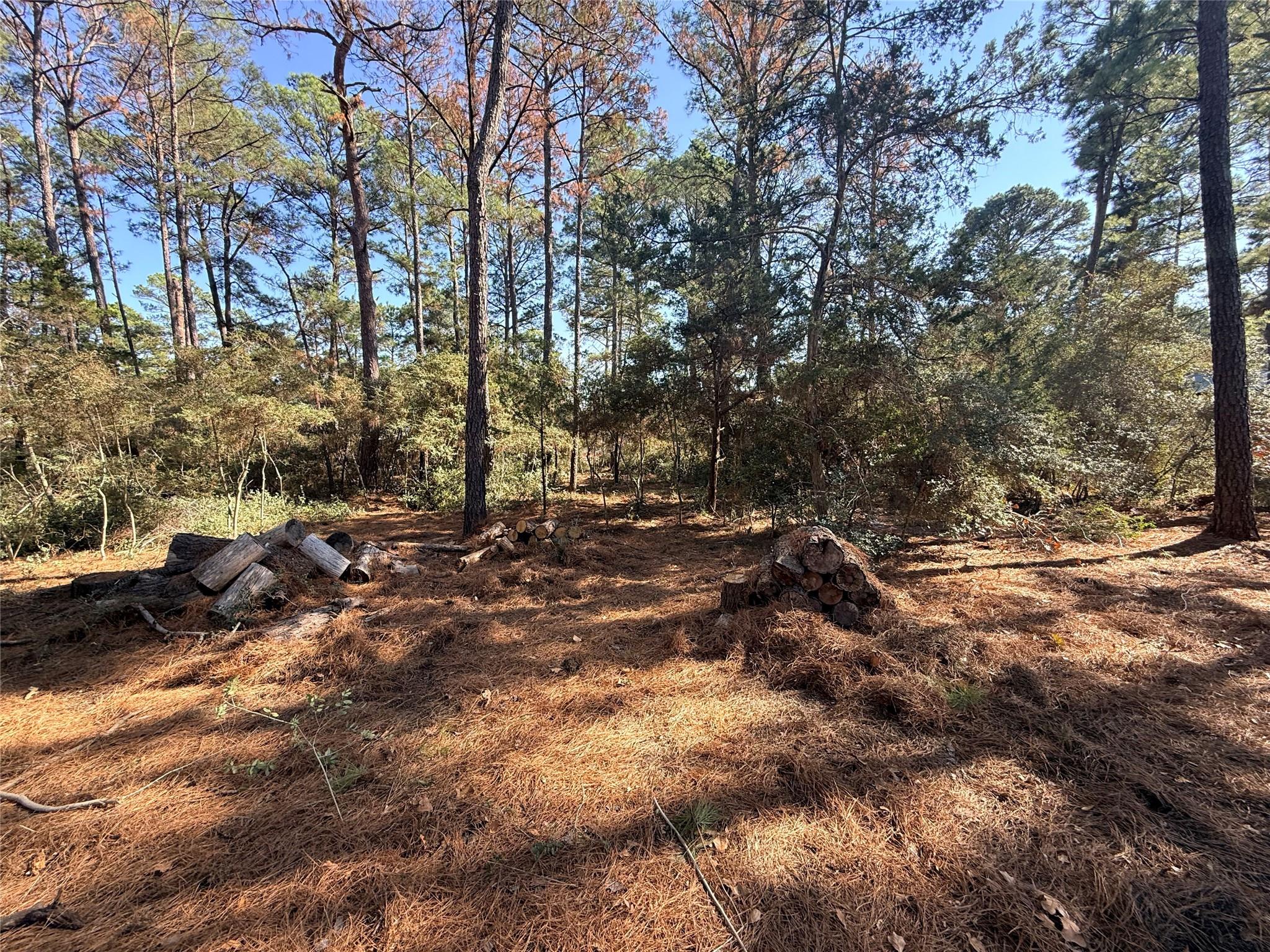 Lot 59 S. Hill Ridge Rd, Bastrop, TX 78602