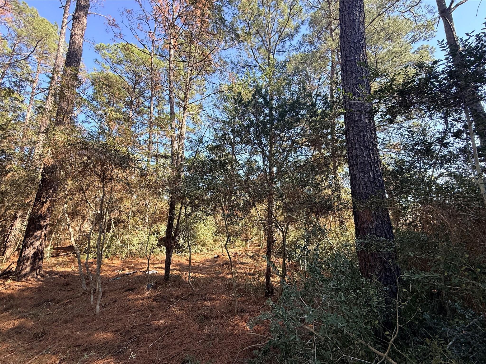 Lot 59 S. Hill Ridge Rd, Bastrop, TX 78602