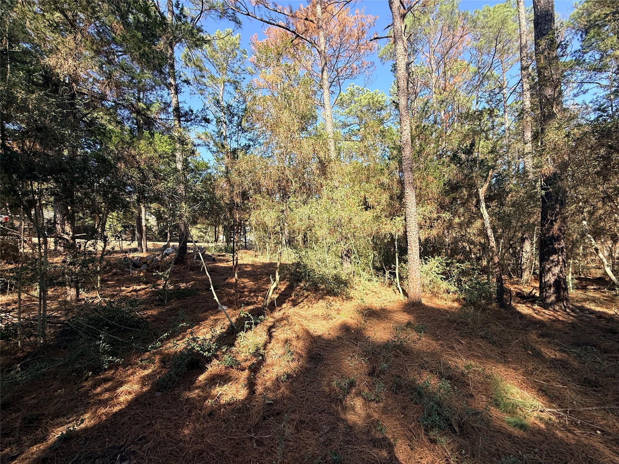 Lot 59 S. Hill Ridge Rd, Bastrop, TX 78602