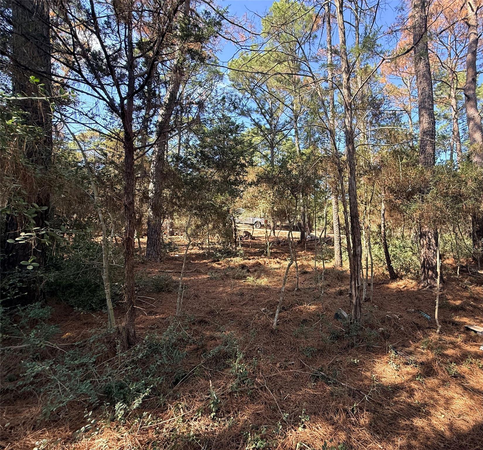 Lot 59 S. Hill Ridge Rd, Bastrop, TX 78602