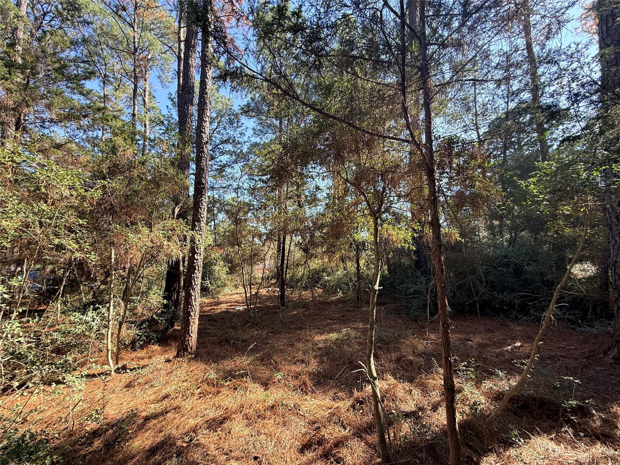 Lot 59 S. Hill Ridge Rd, Bastrop, TX 78602