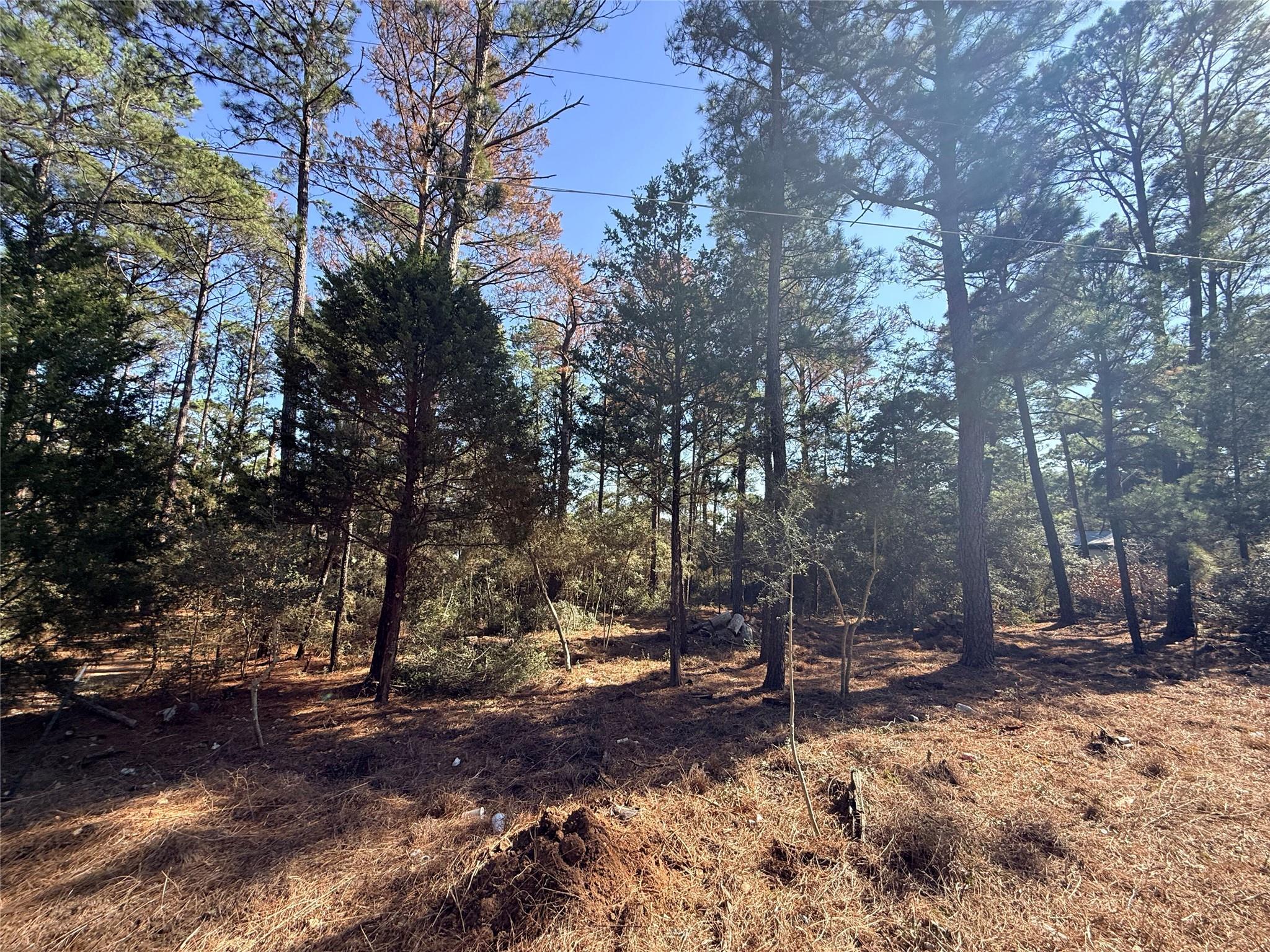 Lot 59 S. Hill Ridge Rd, Bastrop, TX 78602