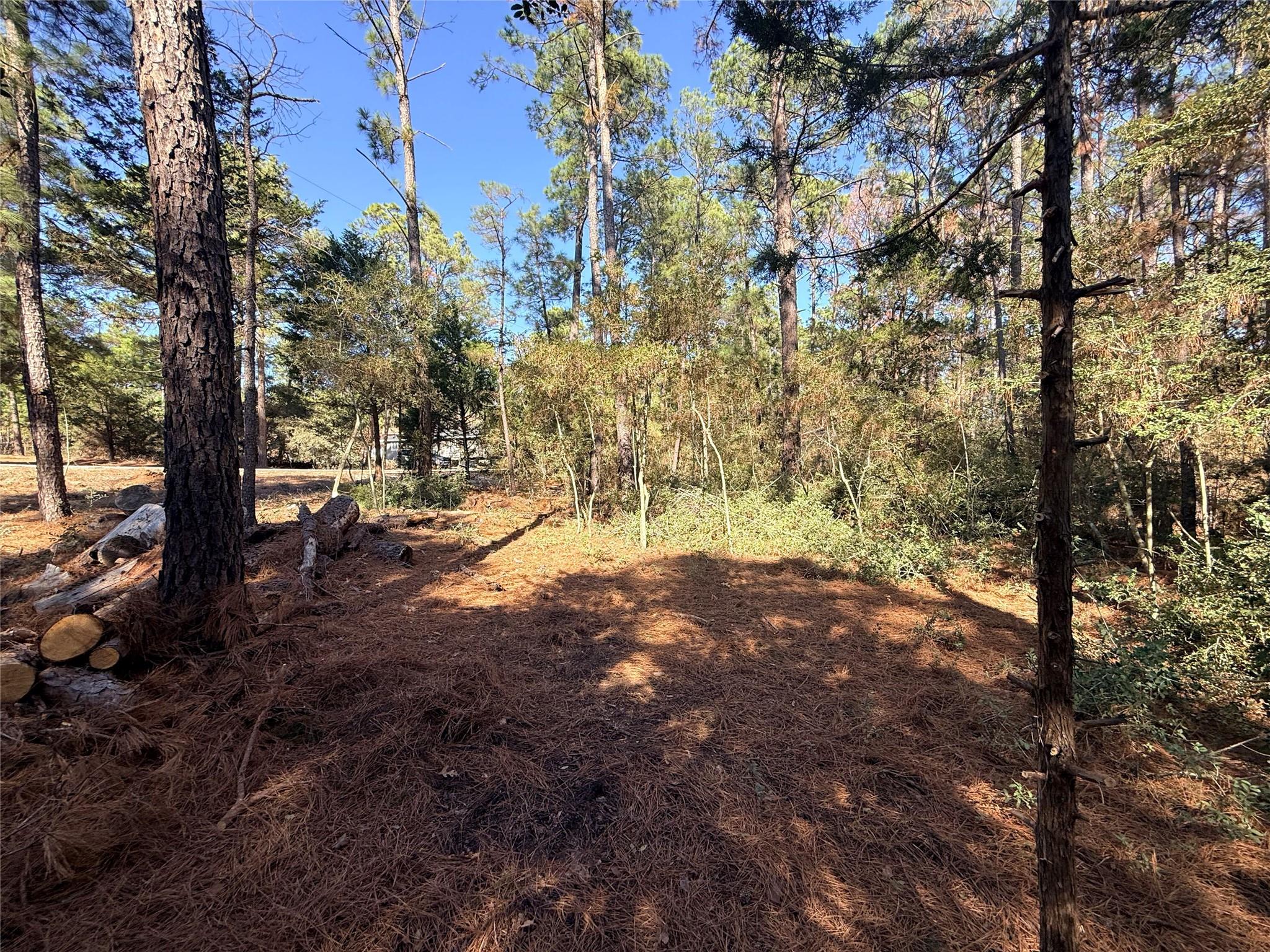 Lot 59 S. Hill Ridge Rd, Bastrop, TX 78602