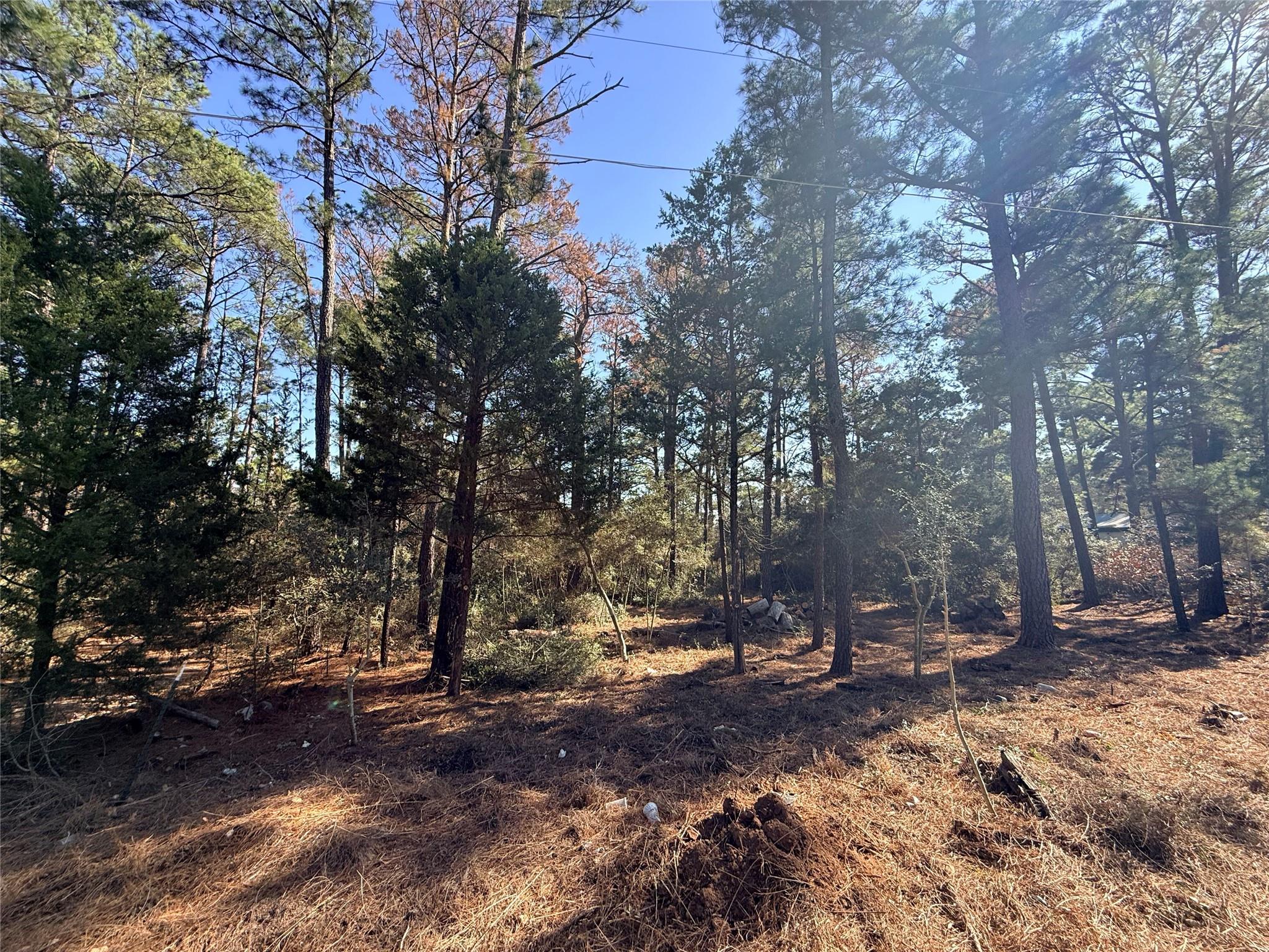 Lot 59 S. Hill Ridge Rd, Bastrop, TX 78602