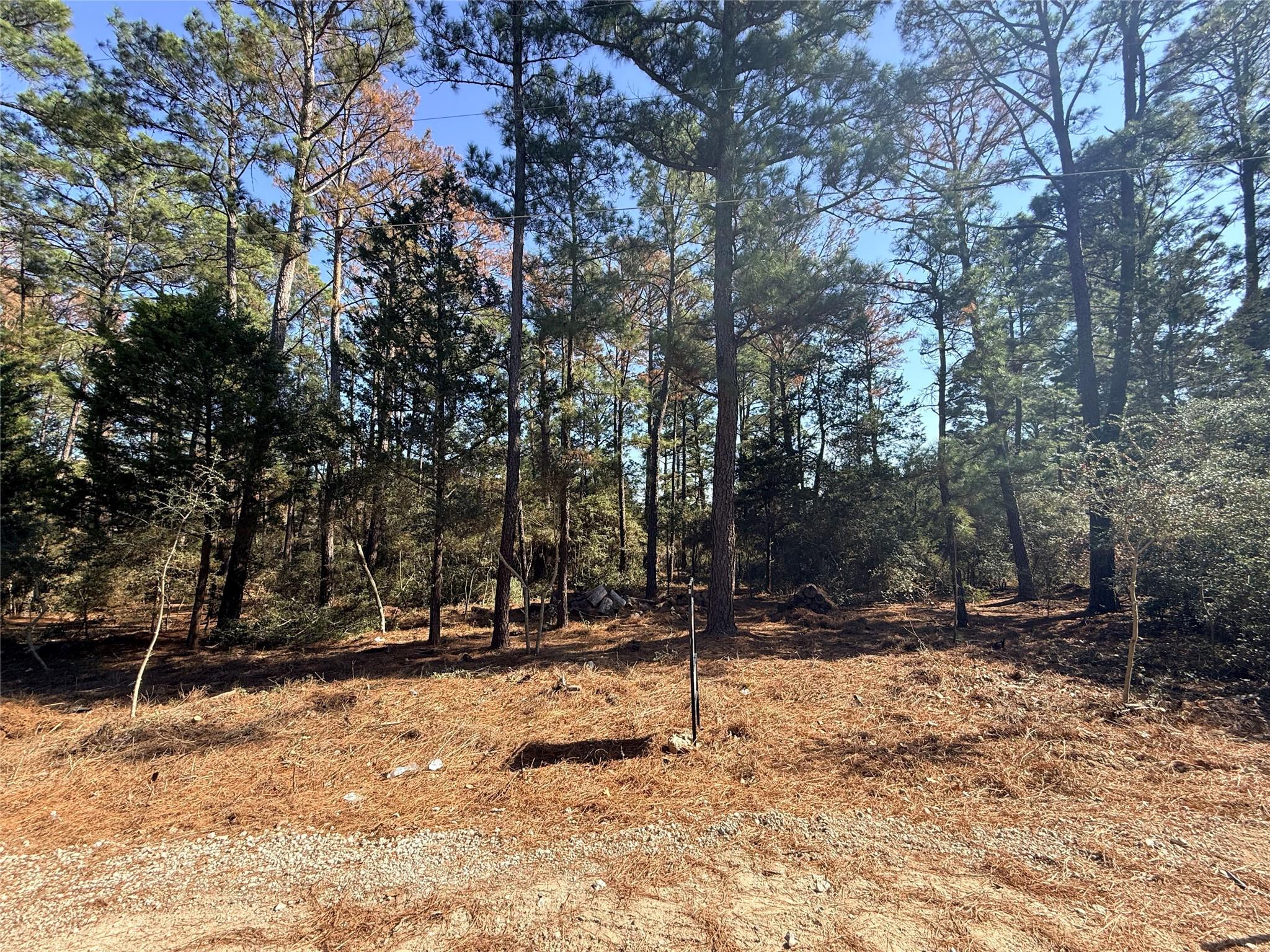 Lot 59 S. Hill Ridge Rd, Bastrop, TX 78602