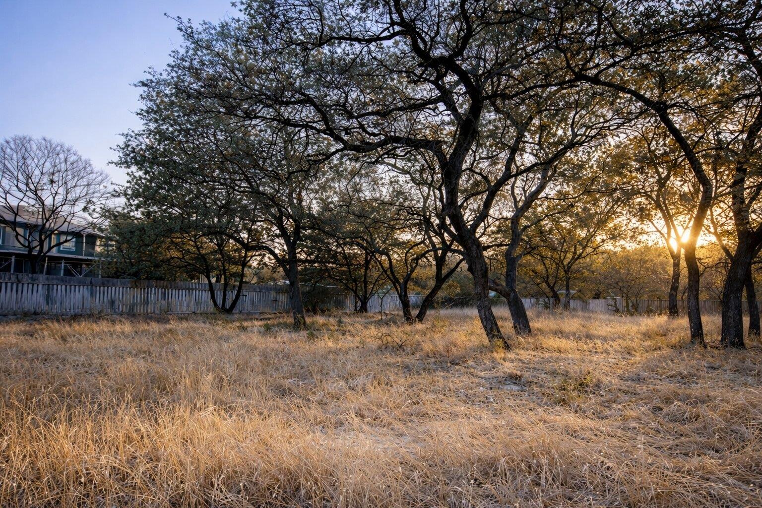 2609 Oak Ridge Dr, Spicewood, TX 78620