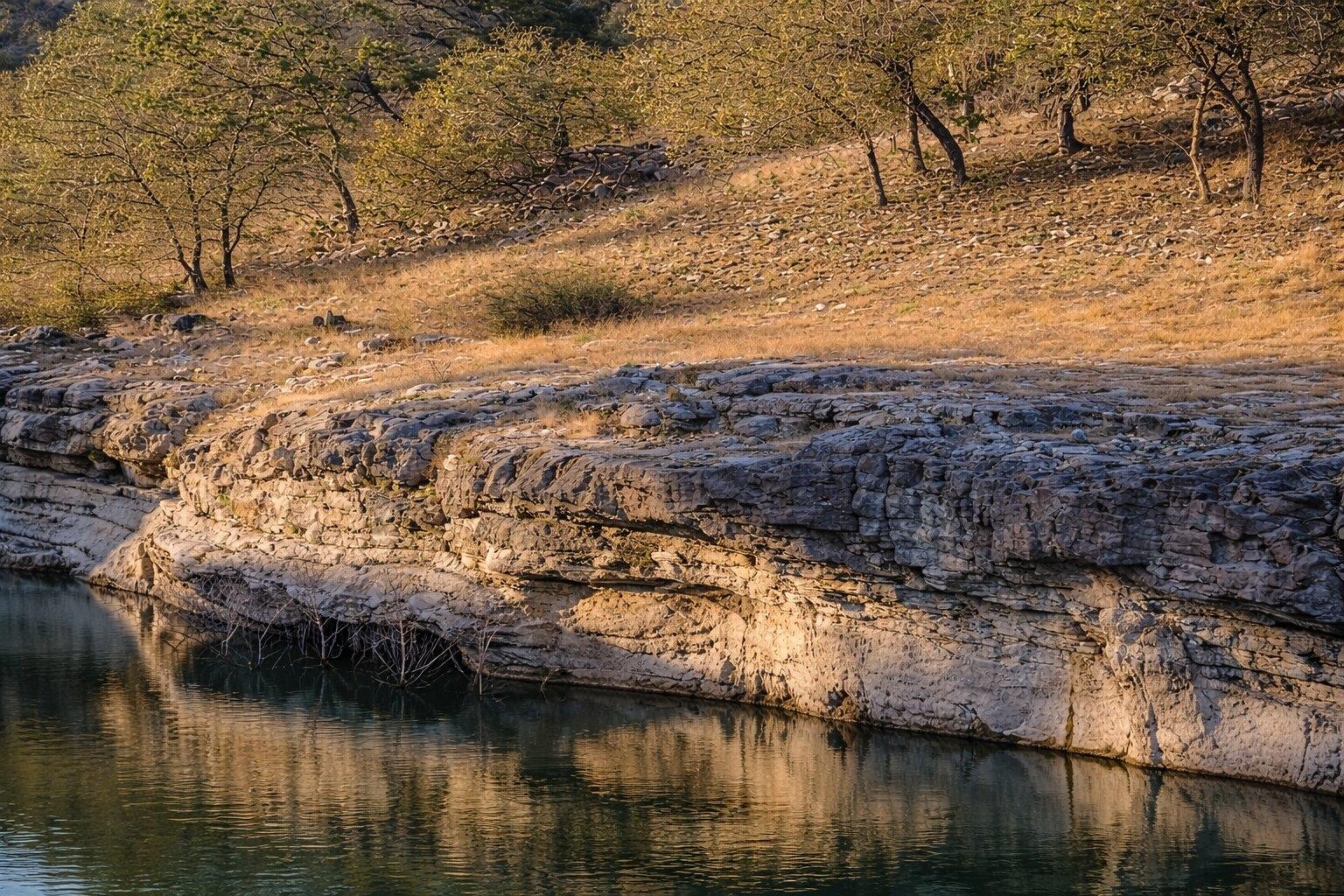 2609 Oak Ridge Dr, Spicewood, TX 78620