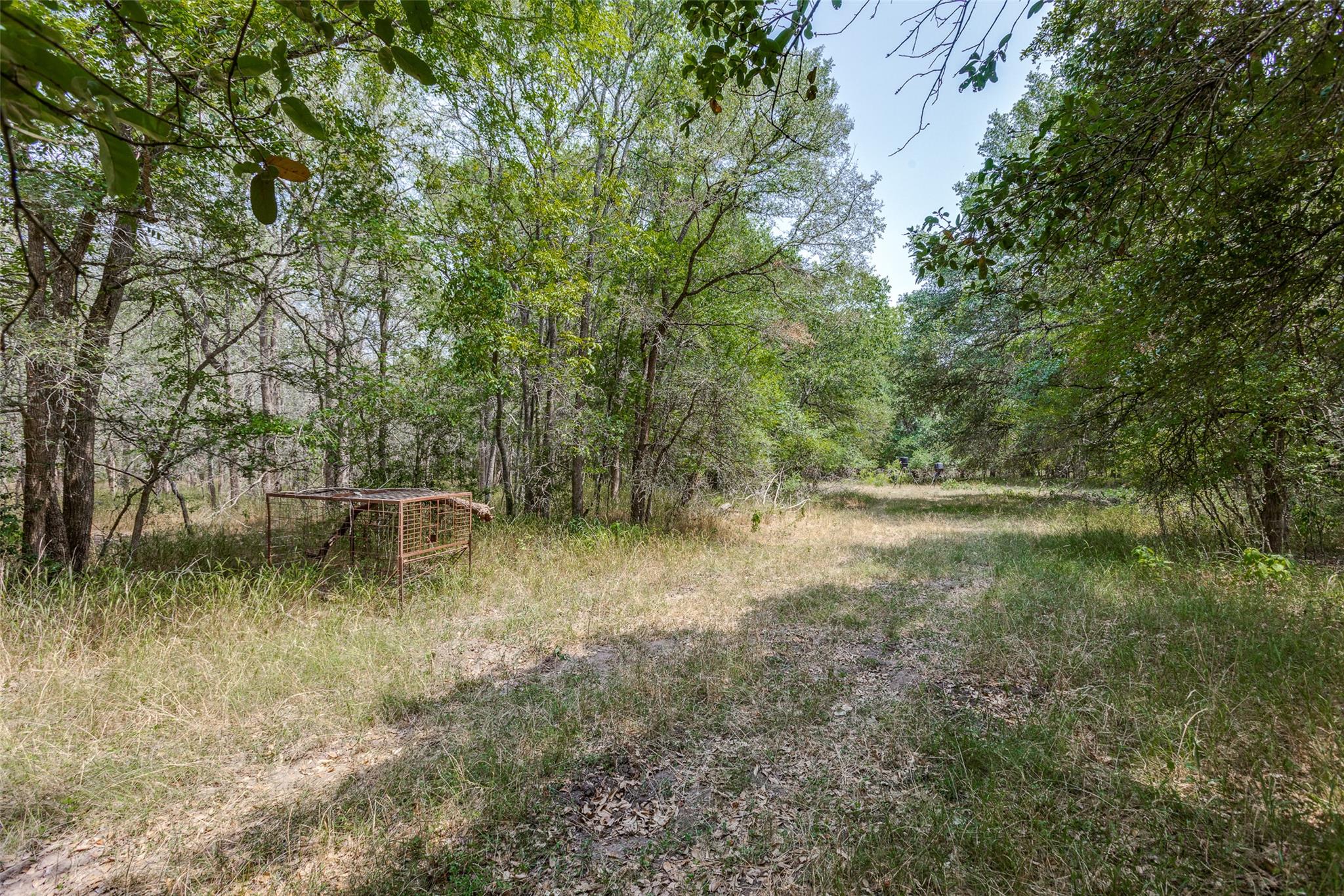 9557 Fm 86, Lockhart, TX 78644