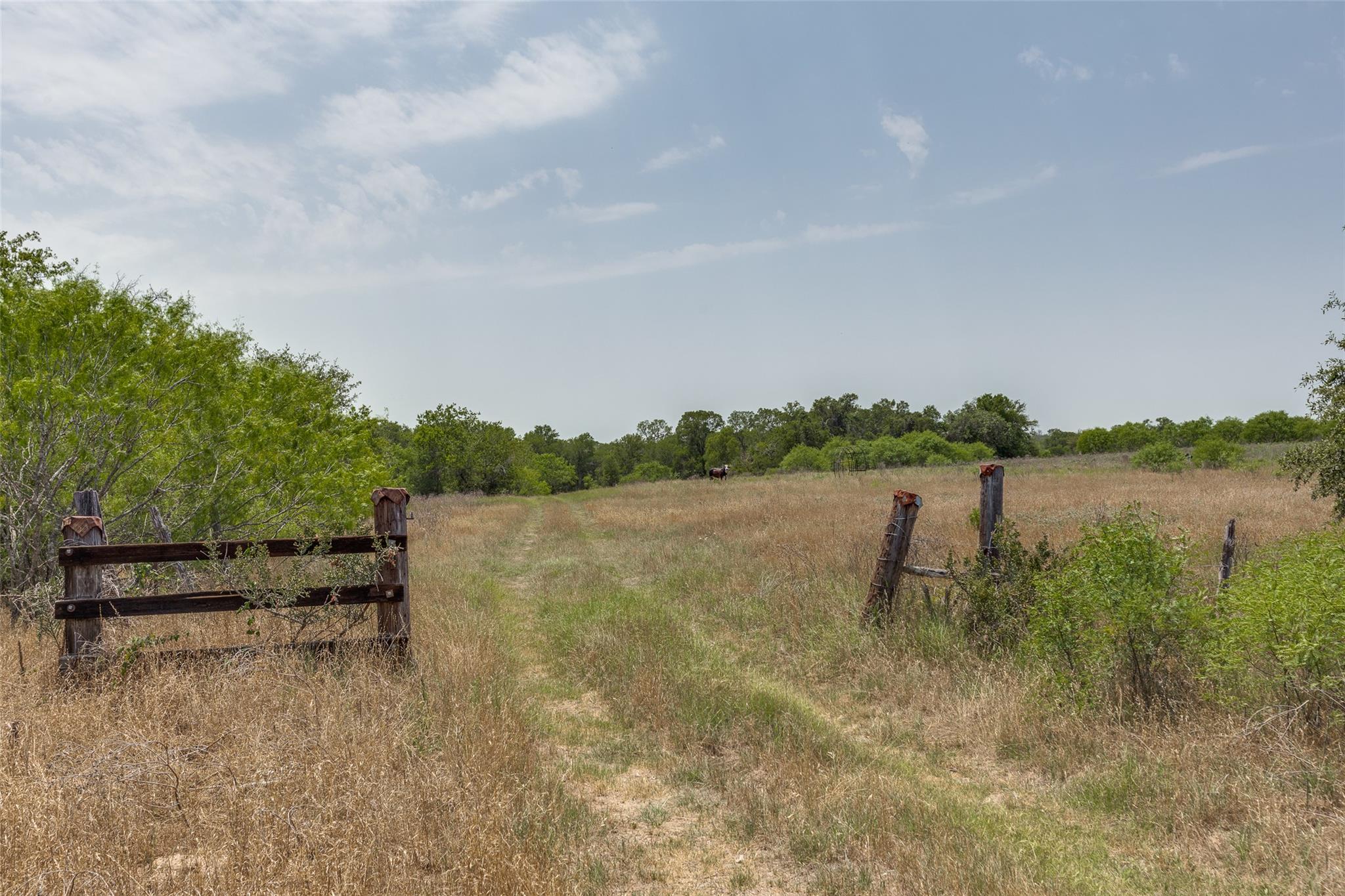 9557 Fm 86, Lockhart, TX 78644