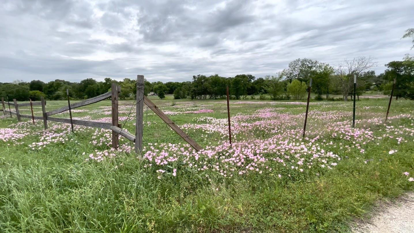 5001 Blue Bluff Rd, Austin, TX 78724