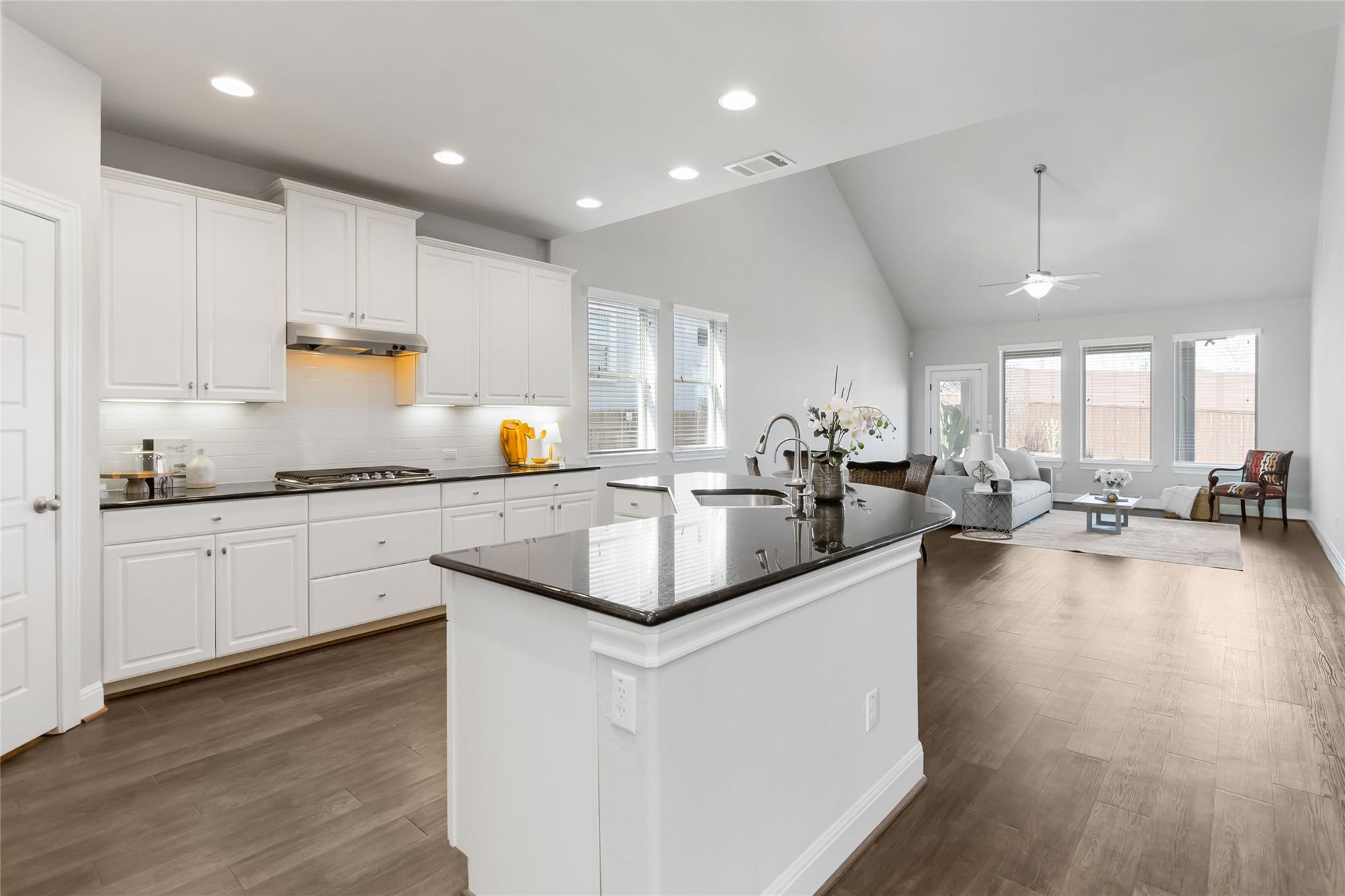 15804 Cinca Terra Dr, Austin, TX 78738