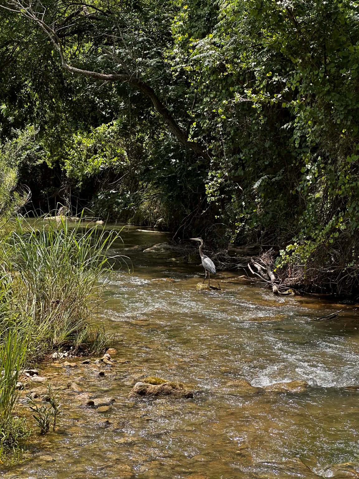 810 KC 271, Junction, TX 76849