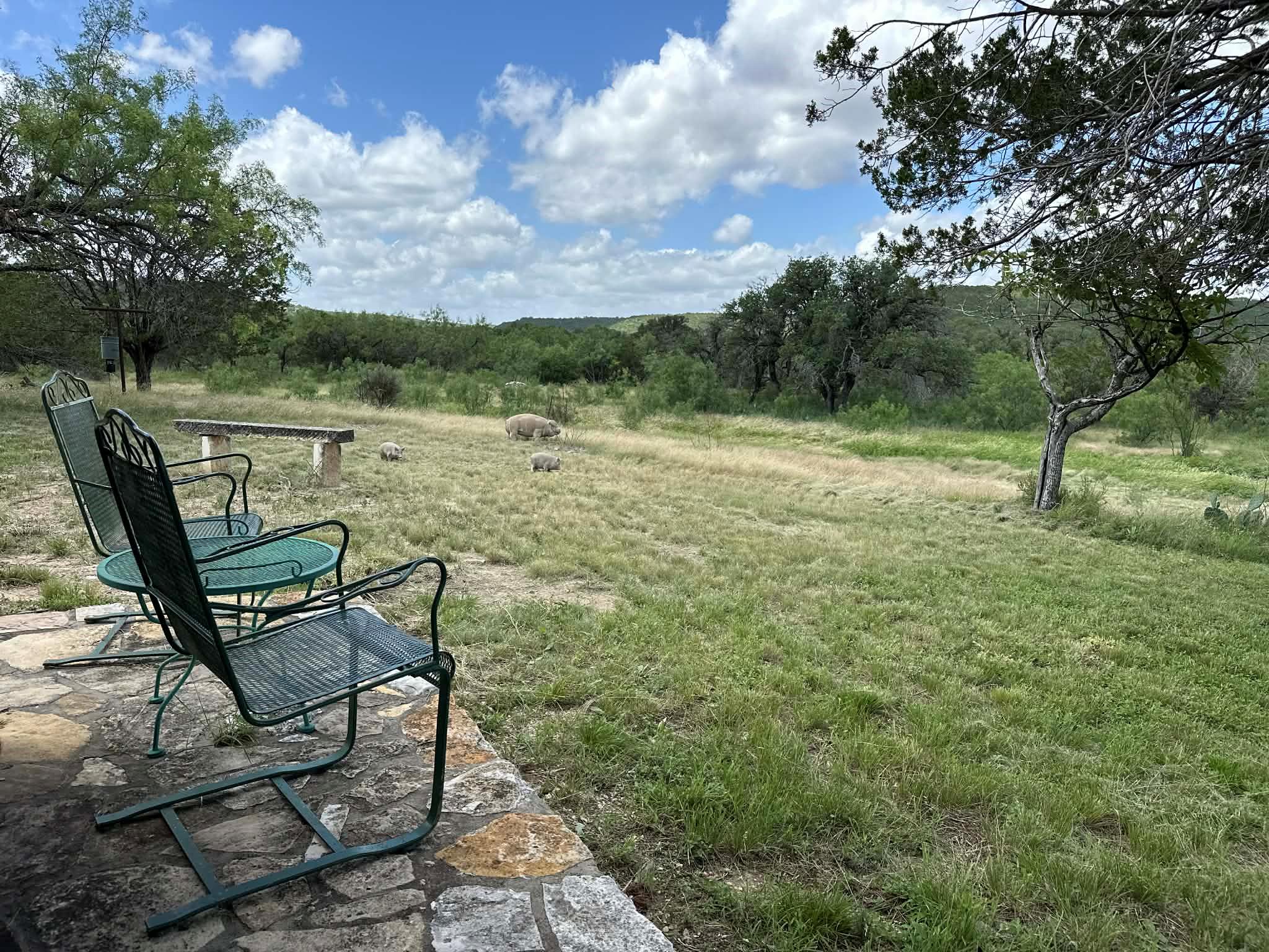 810 KC 271, Junction, TX 76849