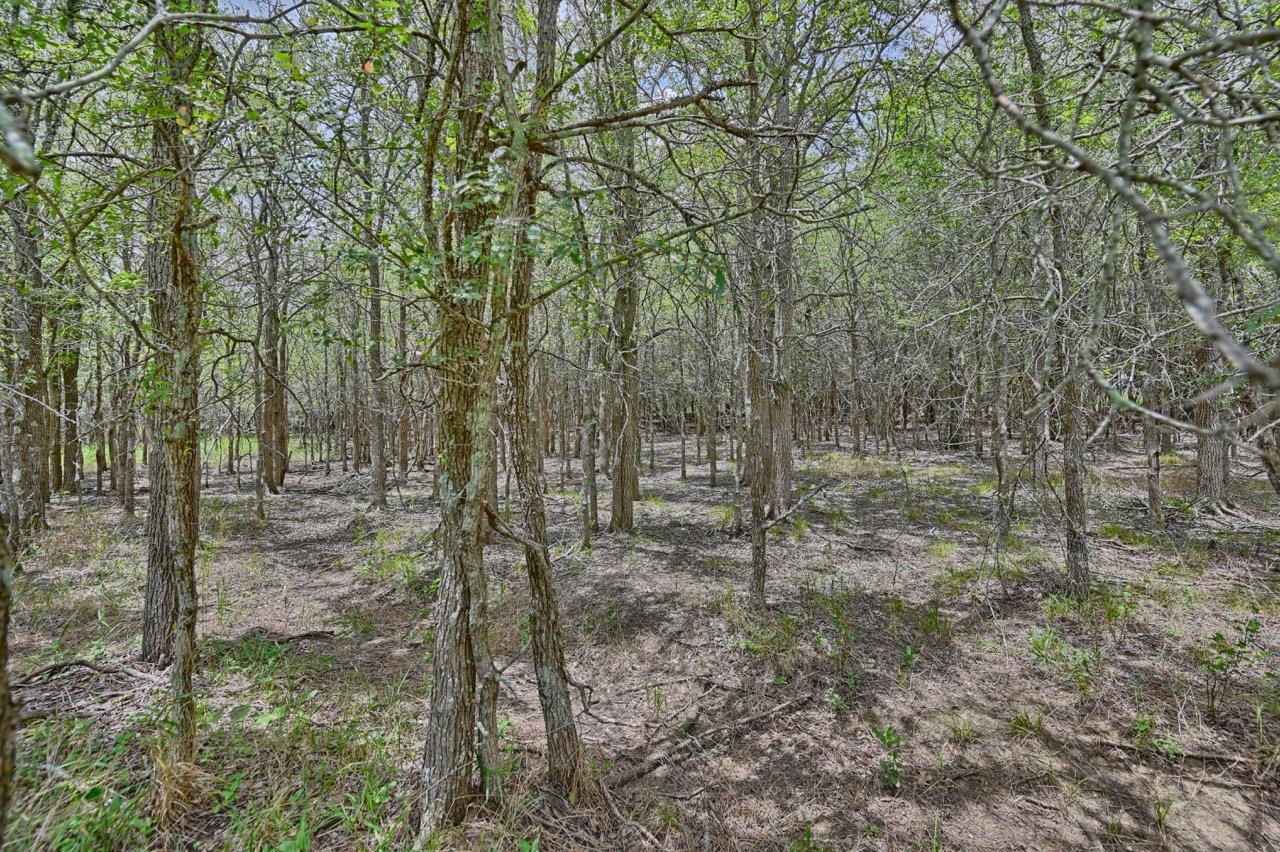 Lot 3-8 (3.001 Acres) Starlight Path, Red Rock, TX 78662