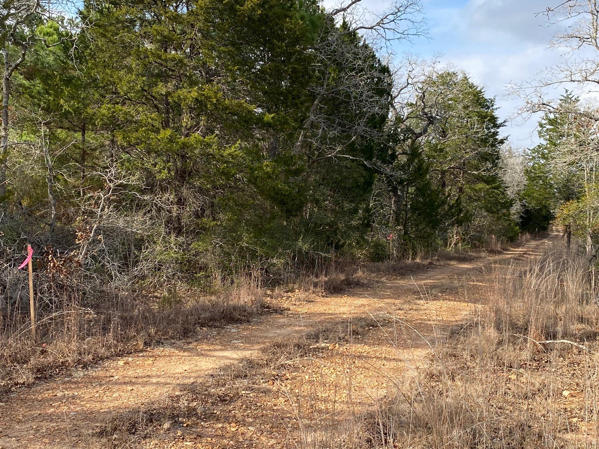 TBD Pine St, Paige, TX 78659