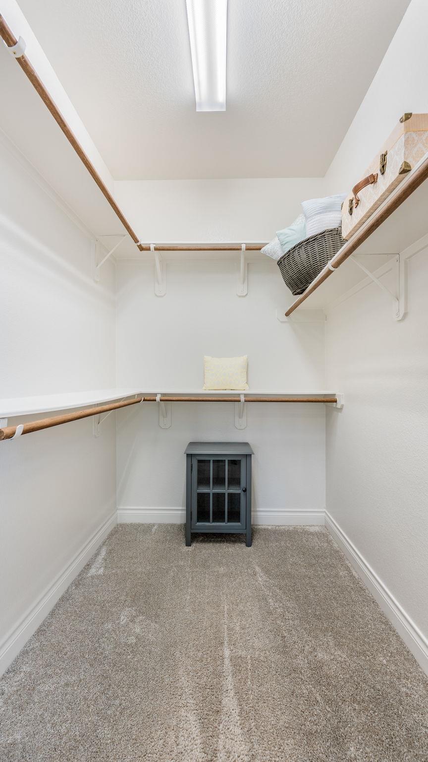 164 Catani Loop, Georgetown, TX 78628