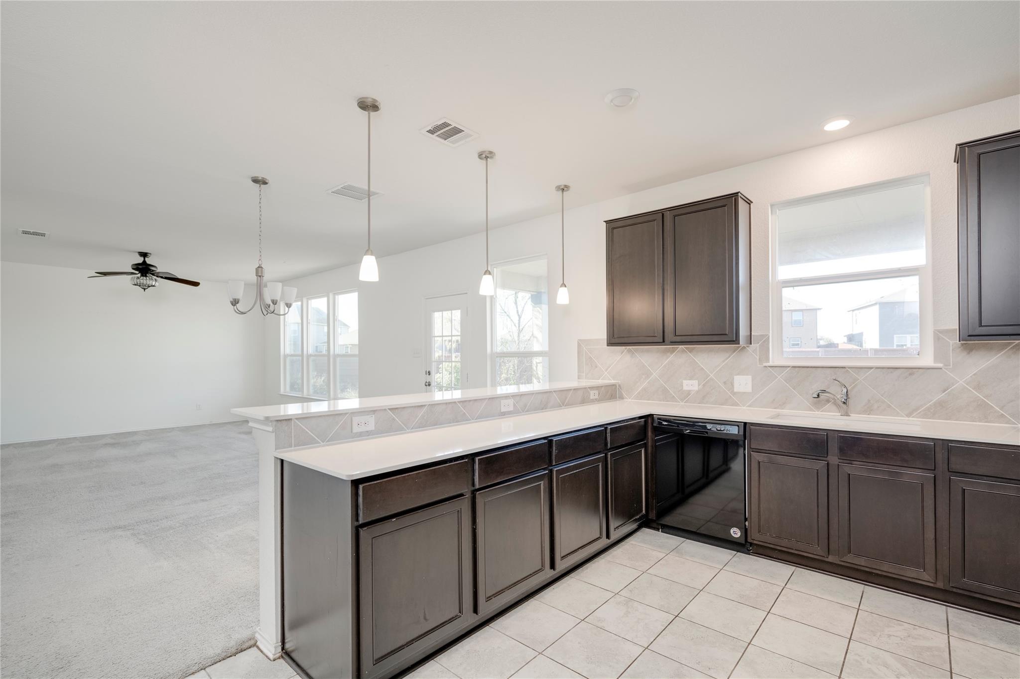 18704 Rushmore St, Manor, TX 78653