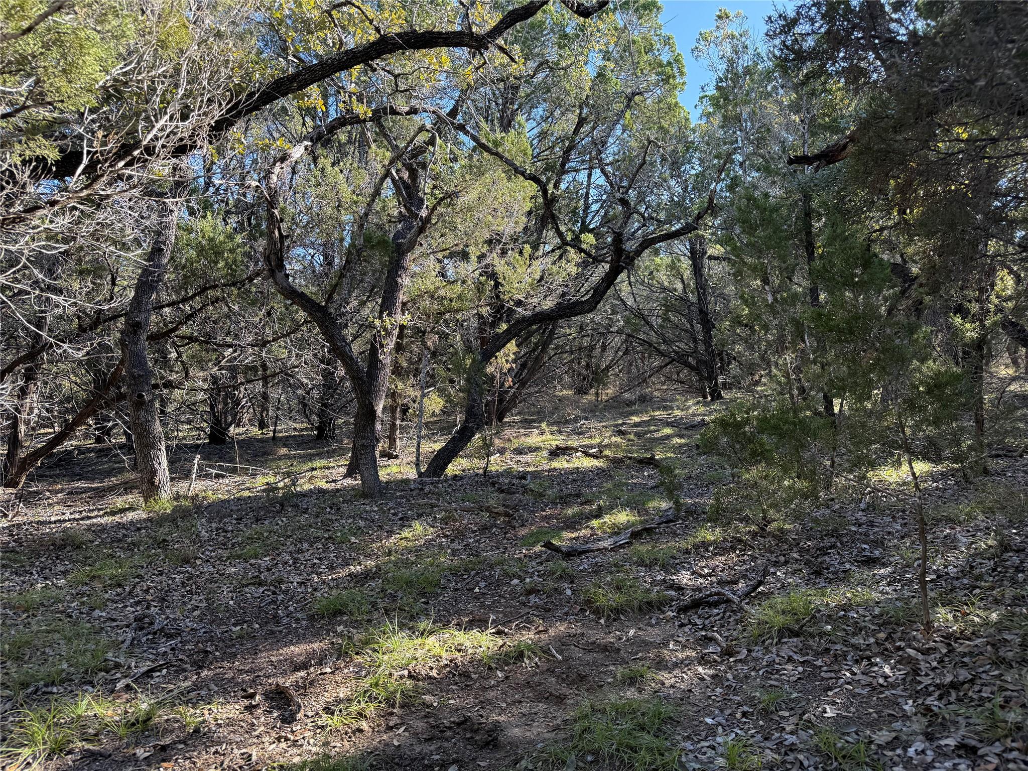 221 Ranch House Rd, Wimberley, TX 78676