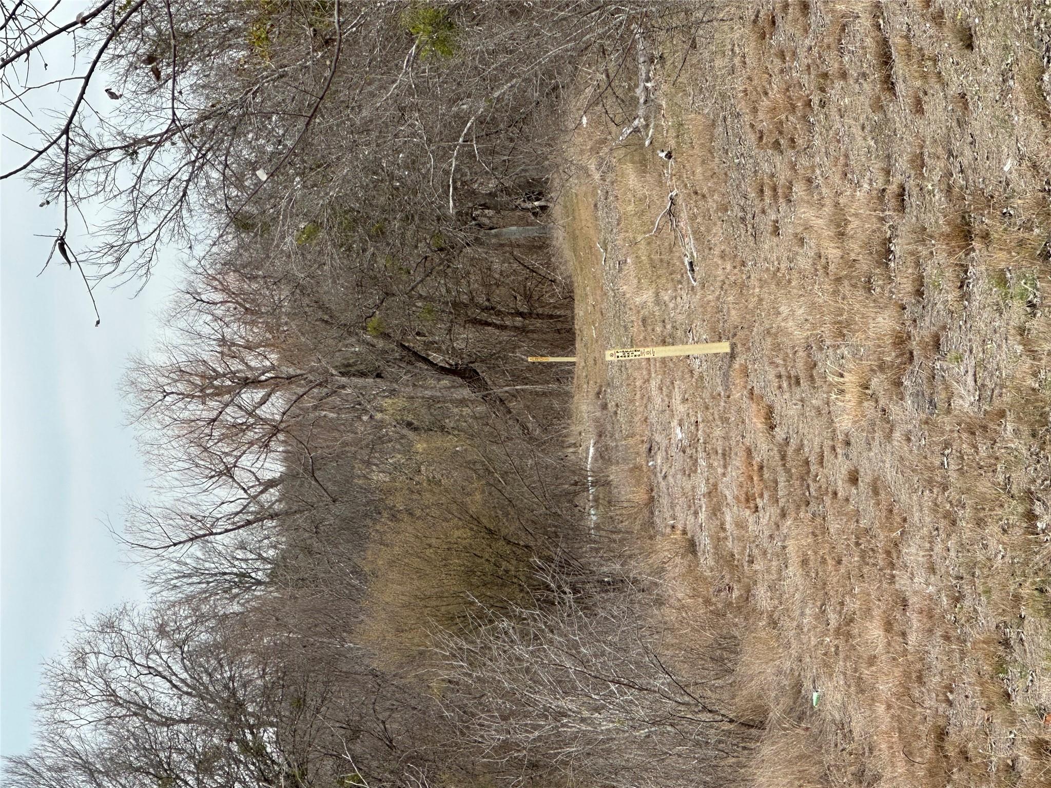 3 Lehman Rd, Kyle, TX 78640