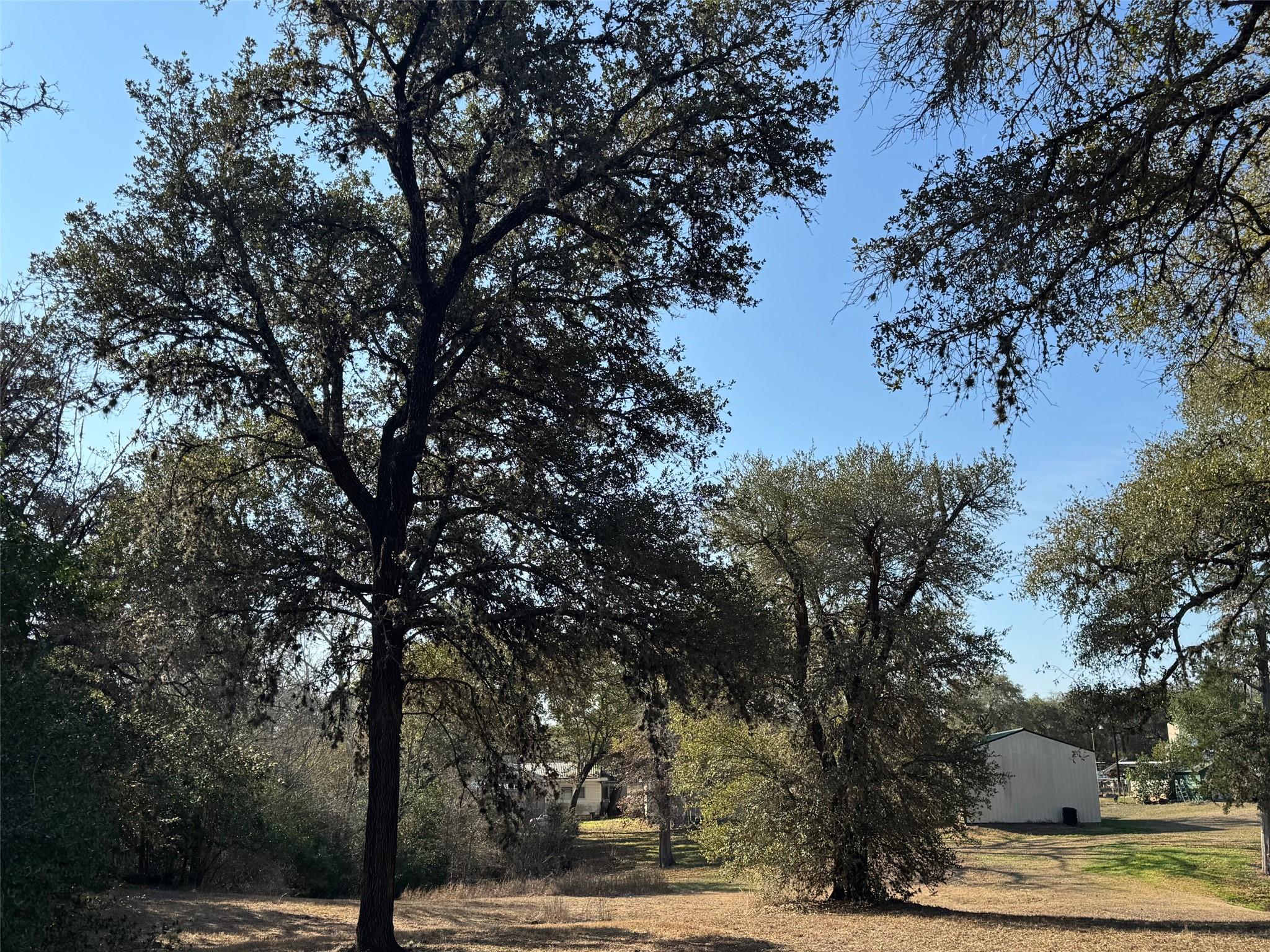 1501 State Hwy E. 71 Highway E, La Grange, TX 78945