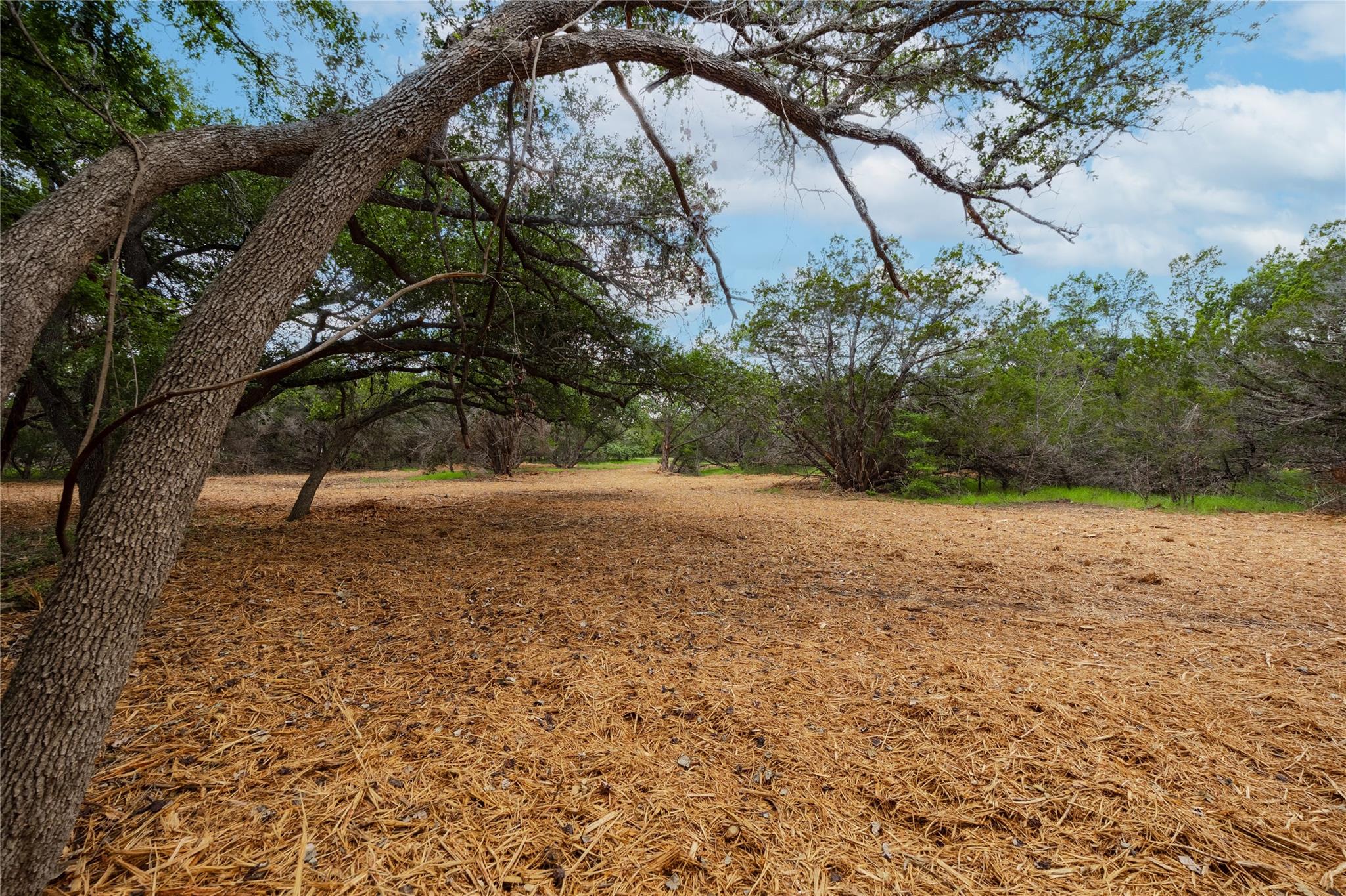 250 E Ridgewood Rd, Georgetown, TX 78633