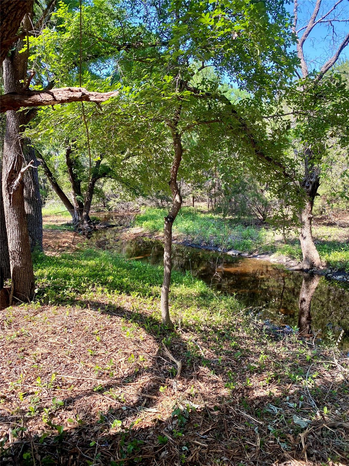 250 E Ridgewood Rd, Georgetown, TX 78633