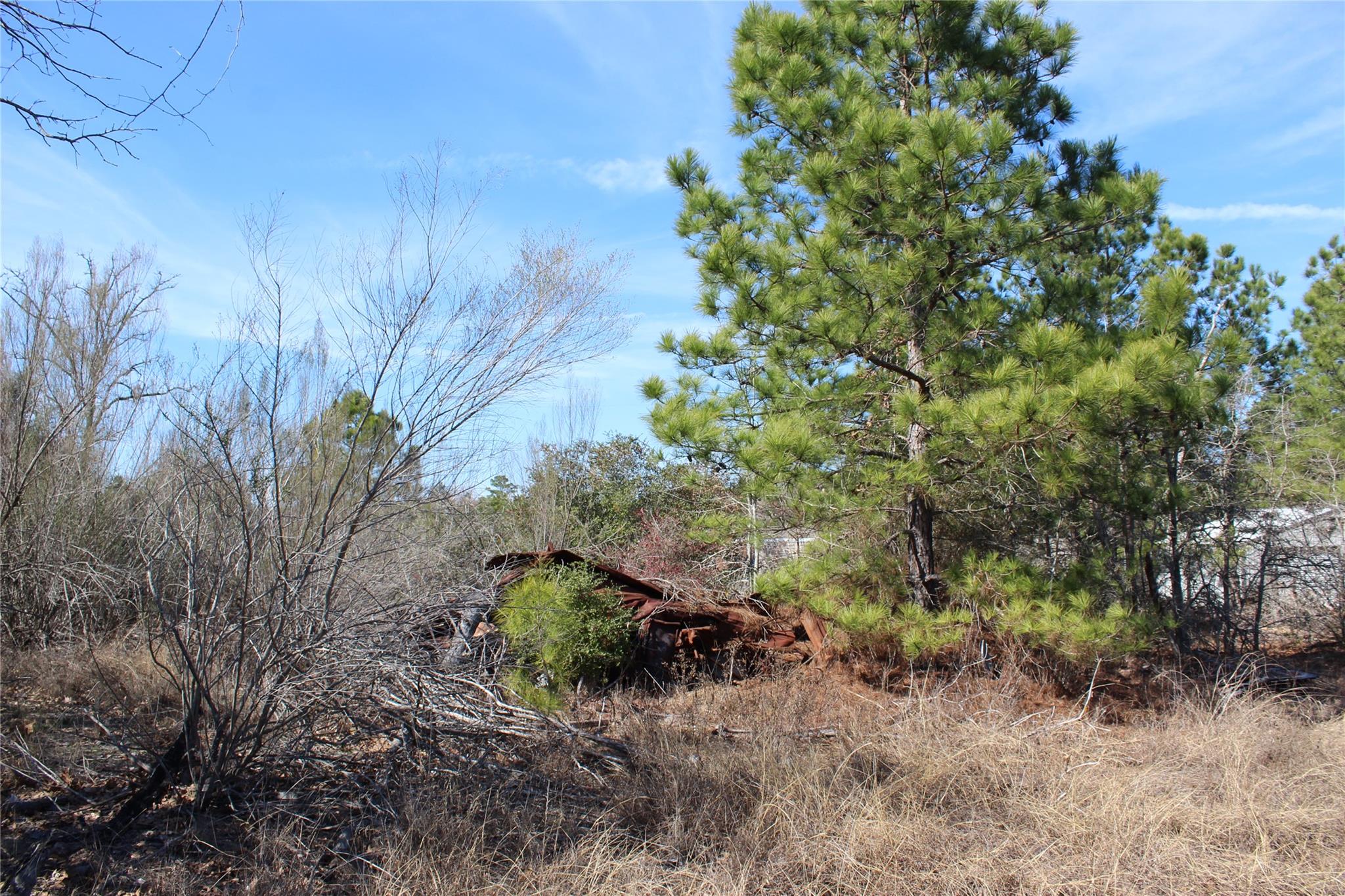 736 Highway 21 Highway E, Bastrop, TX 78602