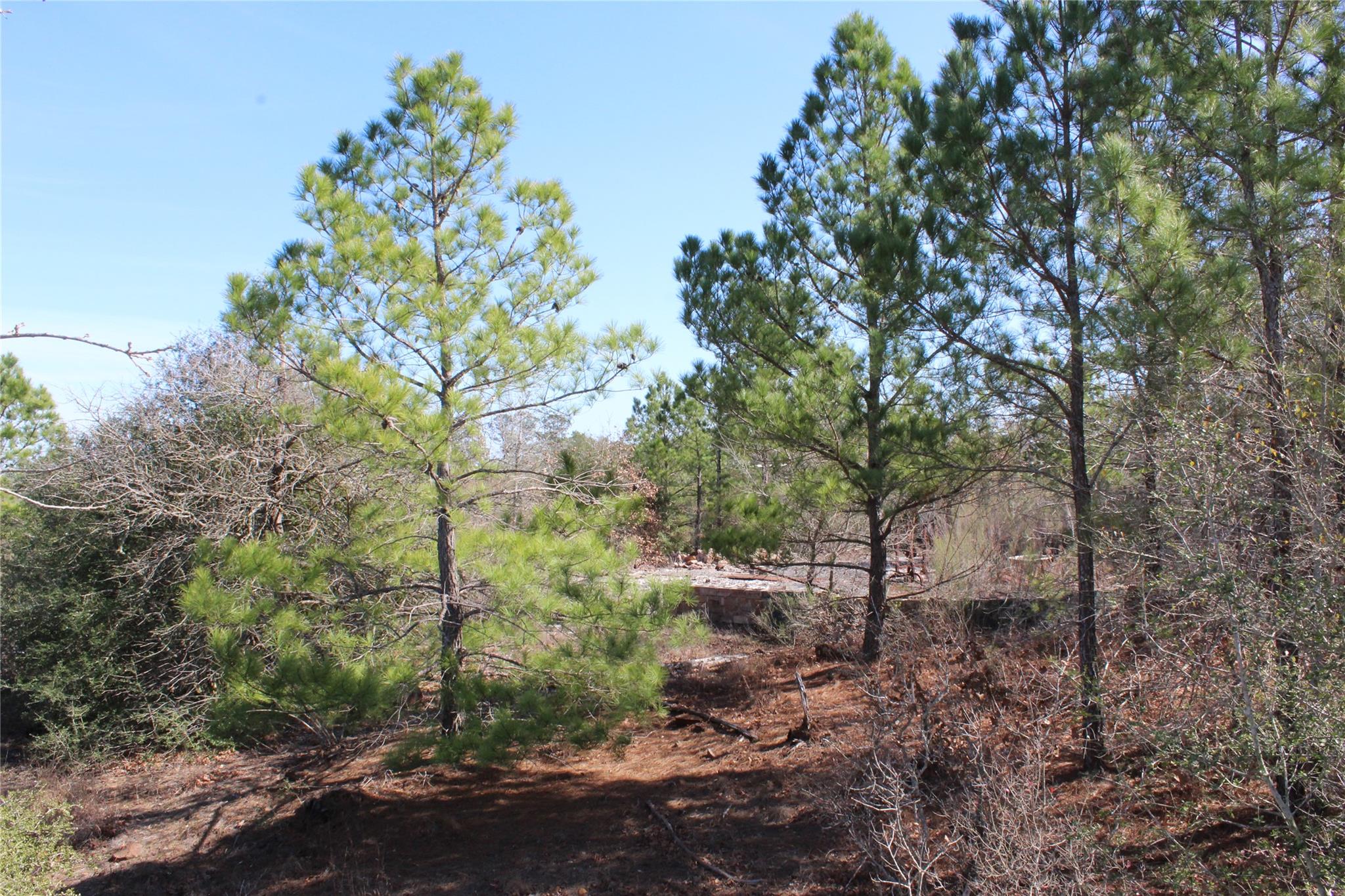 736 Highway 21 Highway E, Bastrop, TX 78602