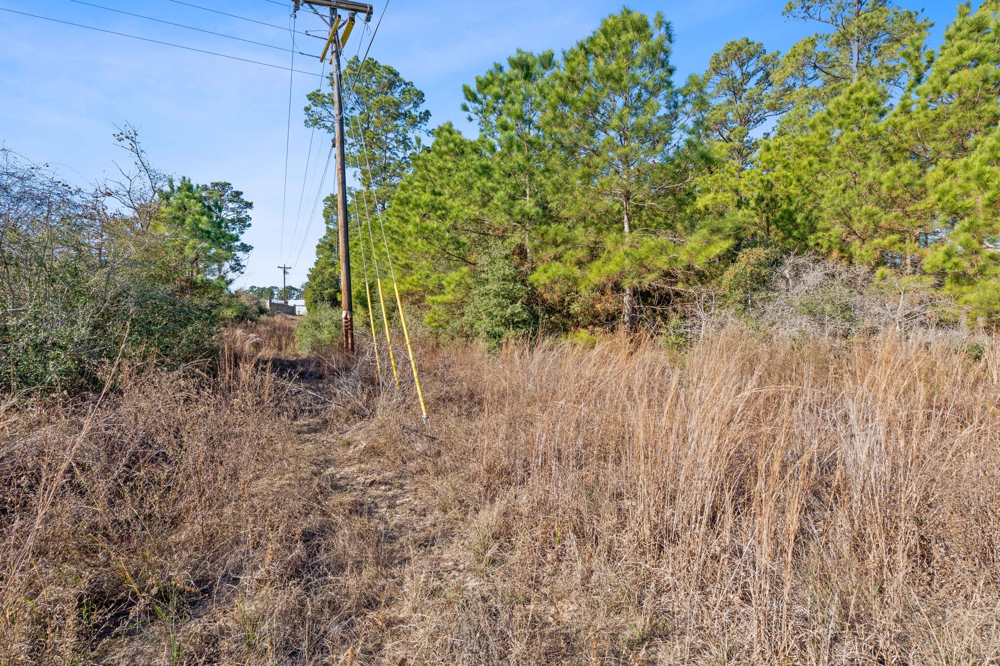 Lot 65 State Highway 21, Bastrop, TX 78602