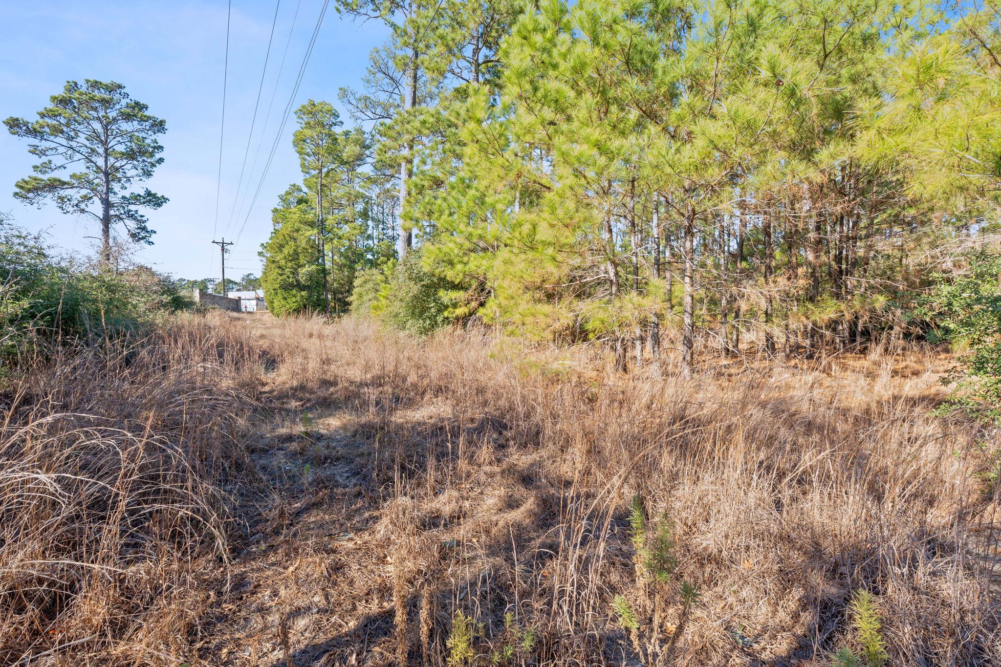 Lot 65 State Highway 21, Bastrop, TX 78602