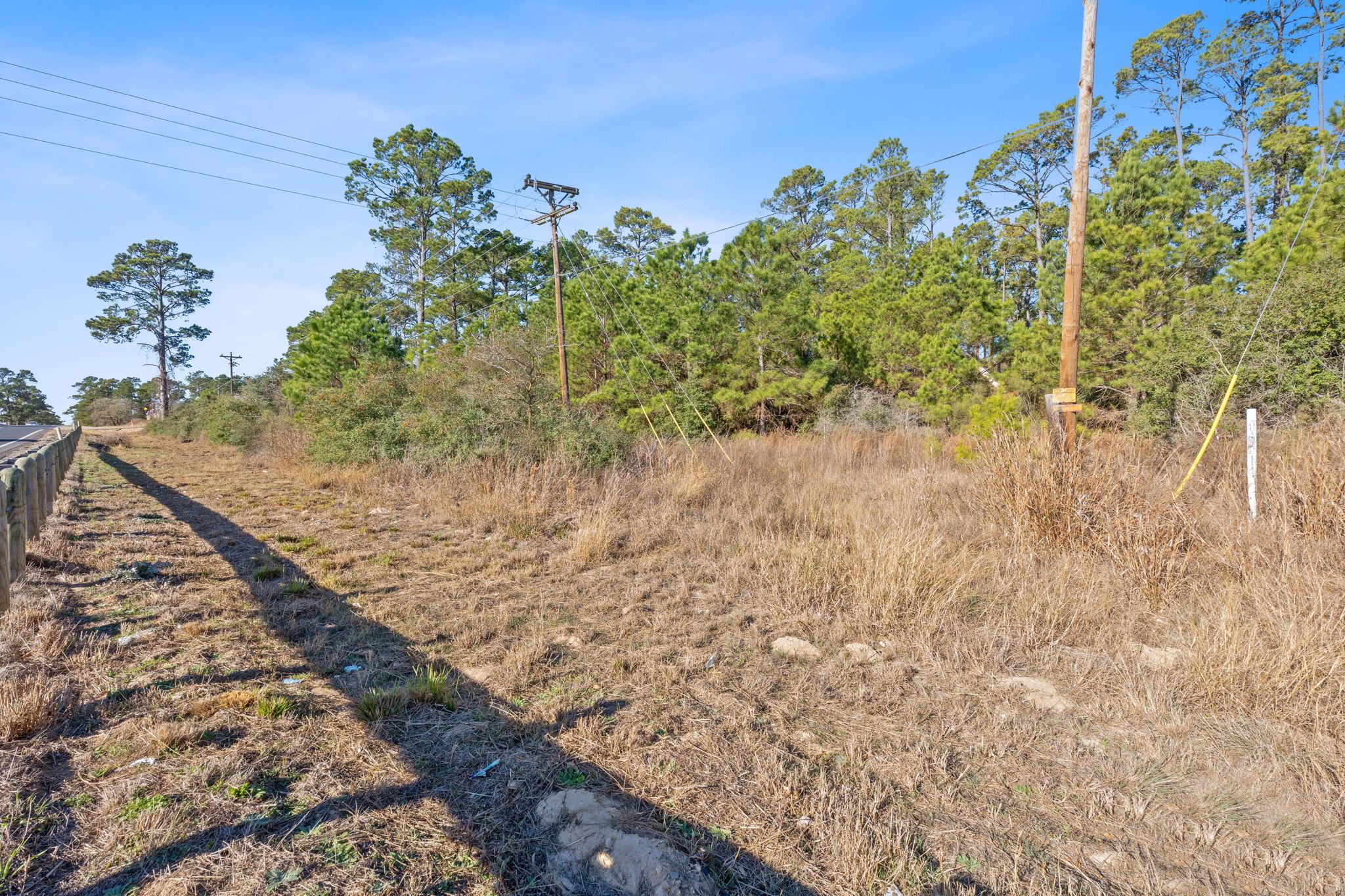 Lot 65 State Highway 21, Bastrop, TX 78602