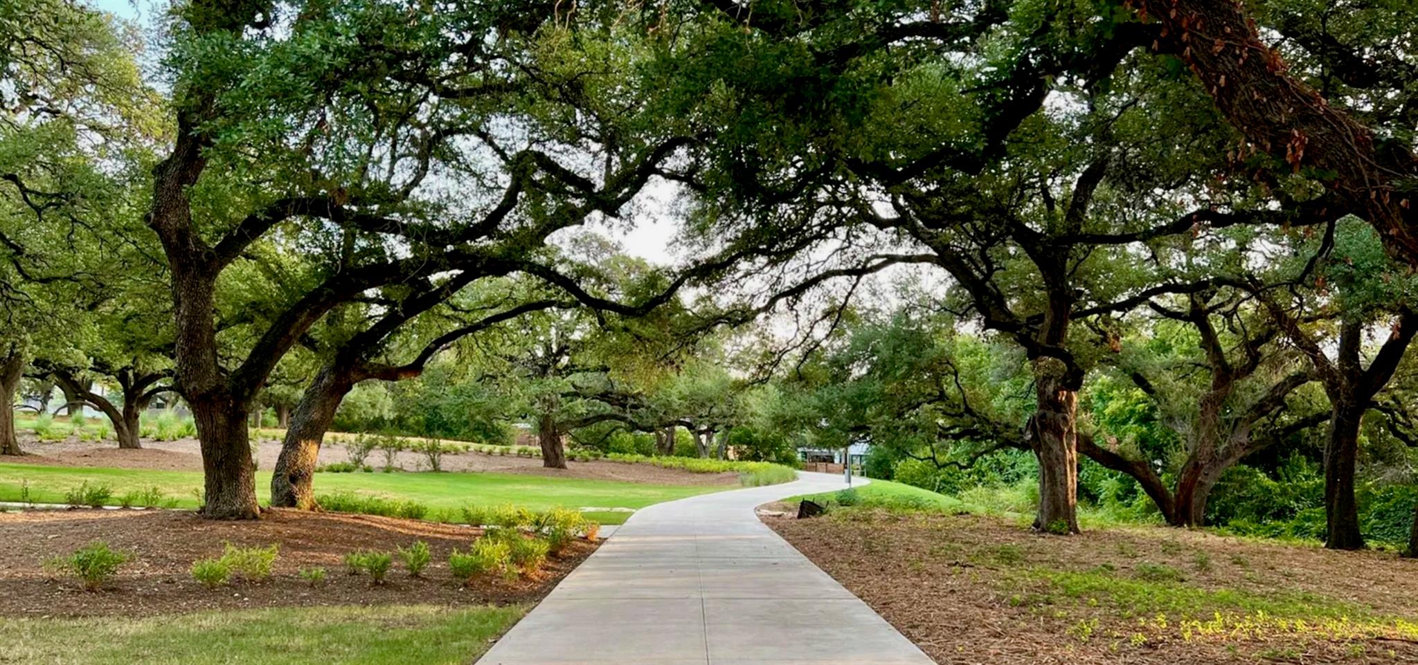 3904 Sightline St # 125, Austin, TX 78731