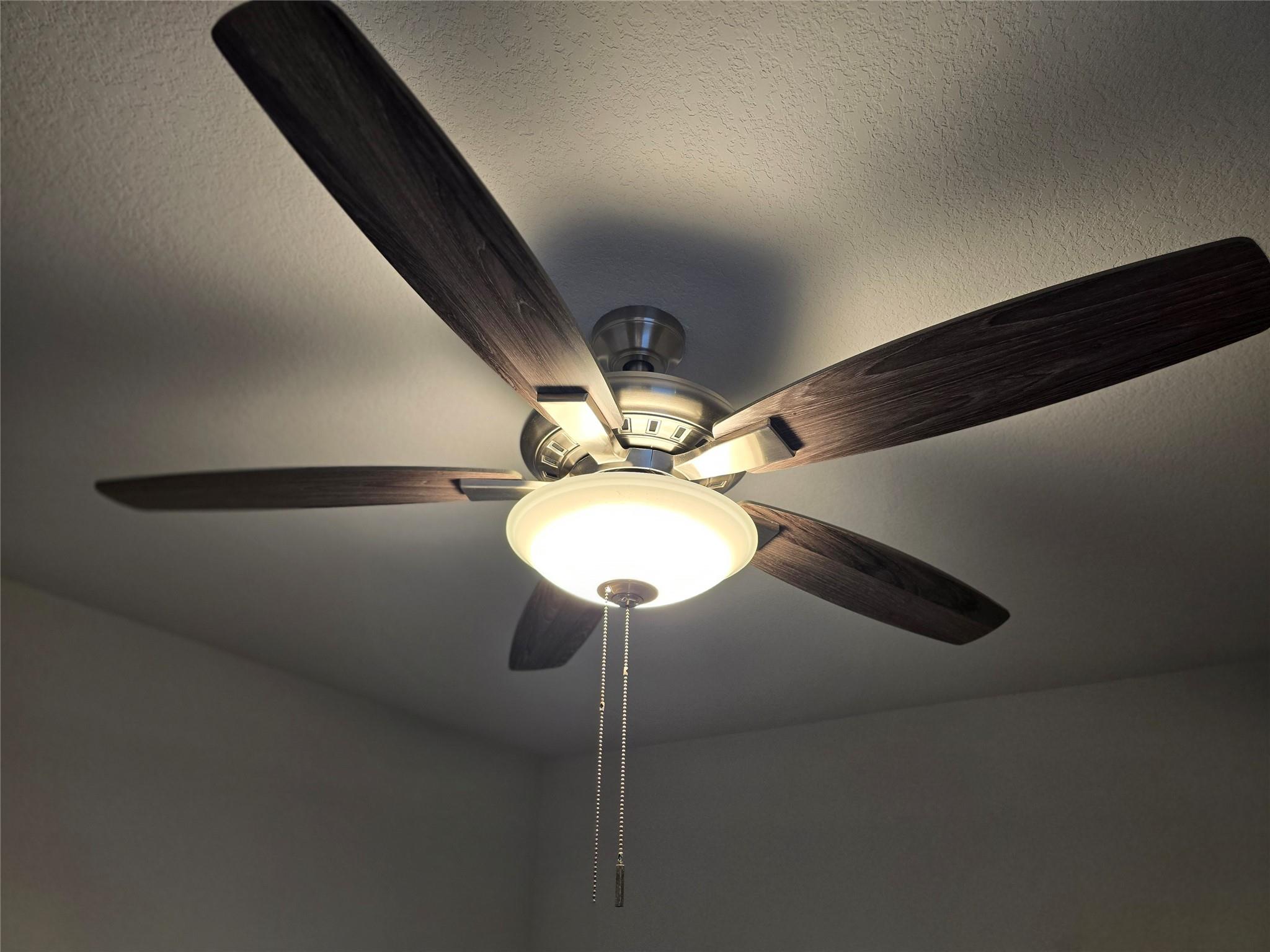 602D Pearly Eye Dr, Pflugerville, TX 78660